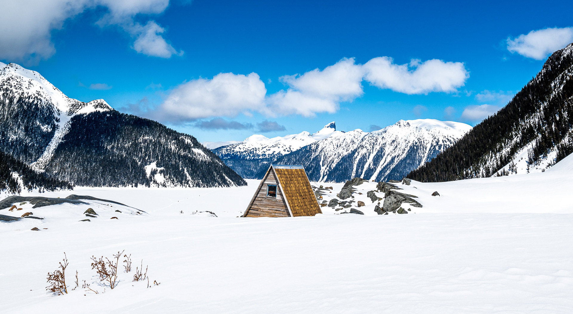 Shelter in the Snow -- IRENE LI