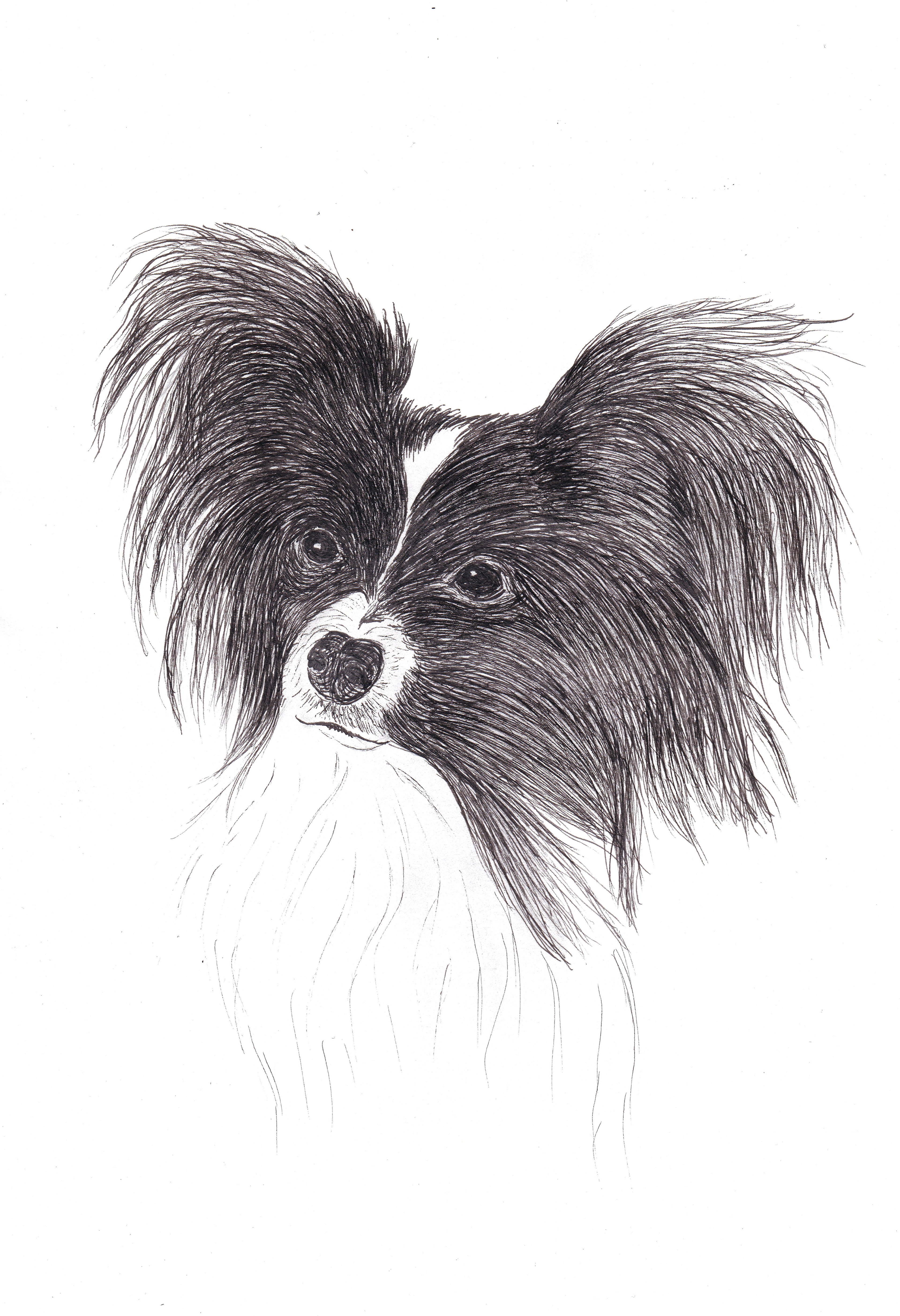 Pablo, ink