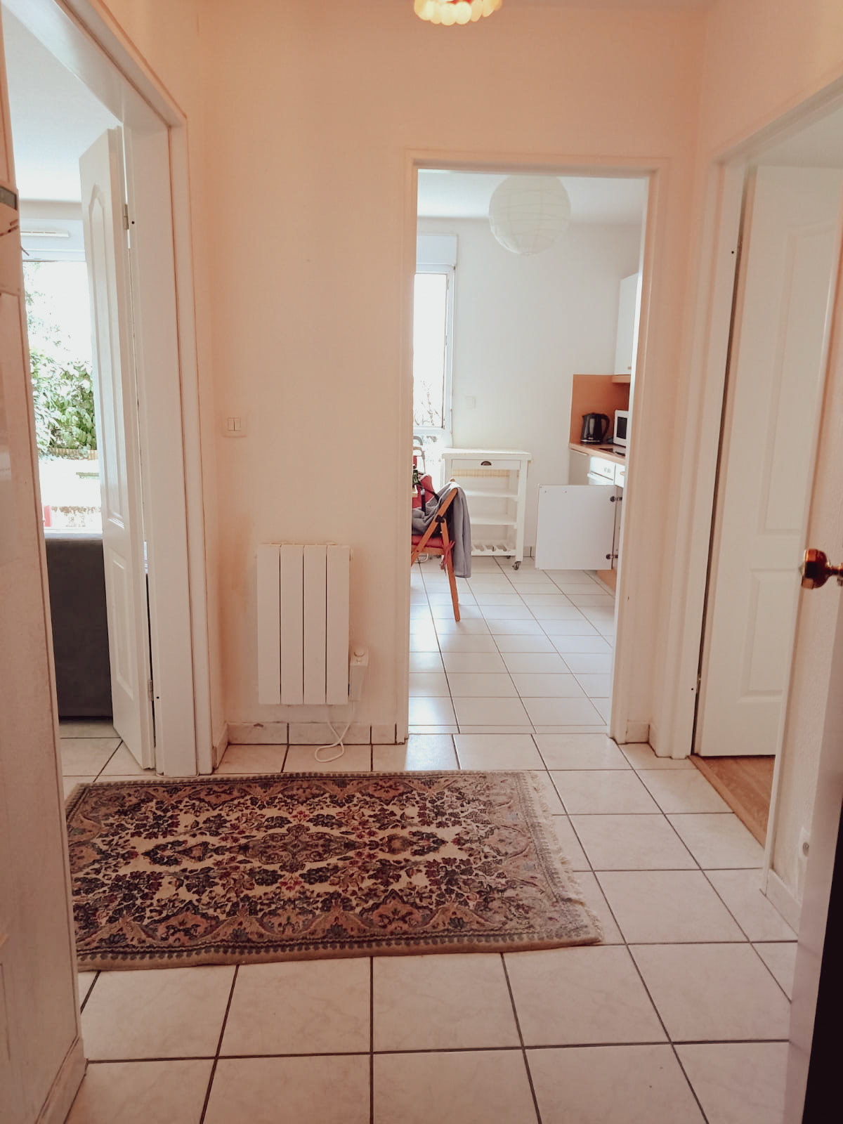 View of apartment from front door and hall