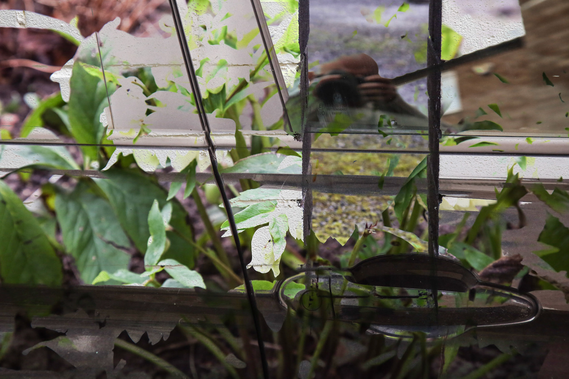 Experiment with multiple exposures