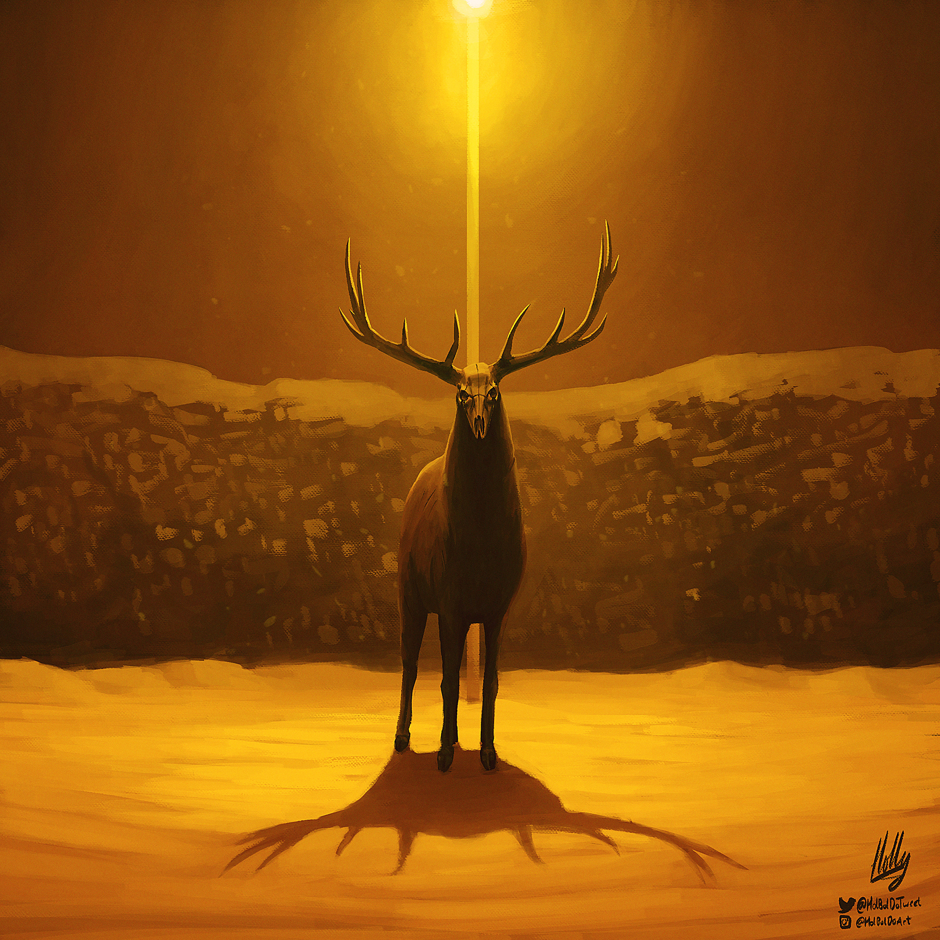Watcher