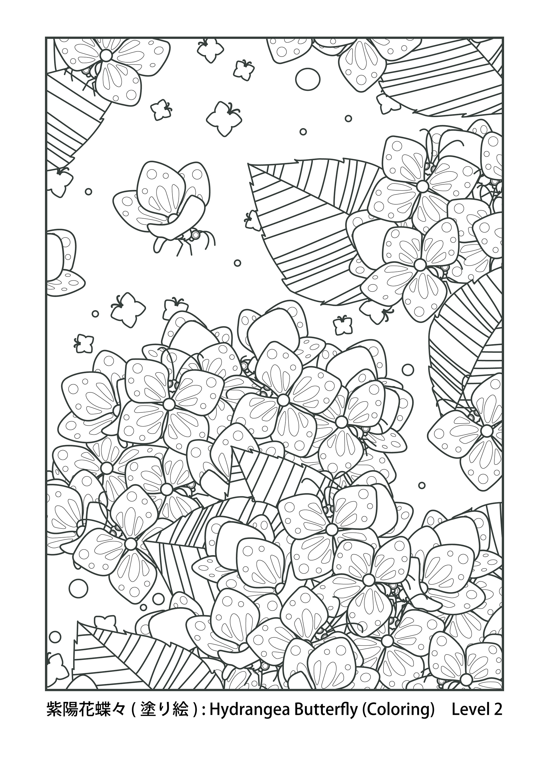 Koma 大人の塗り絵 Adult Coloring