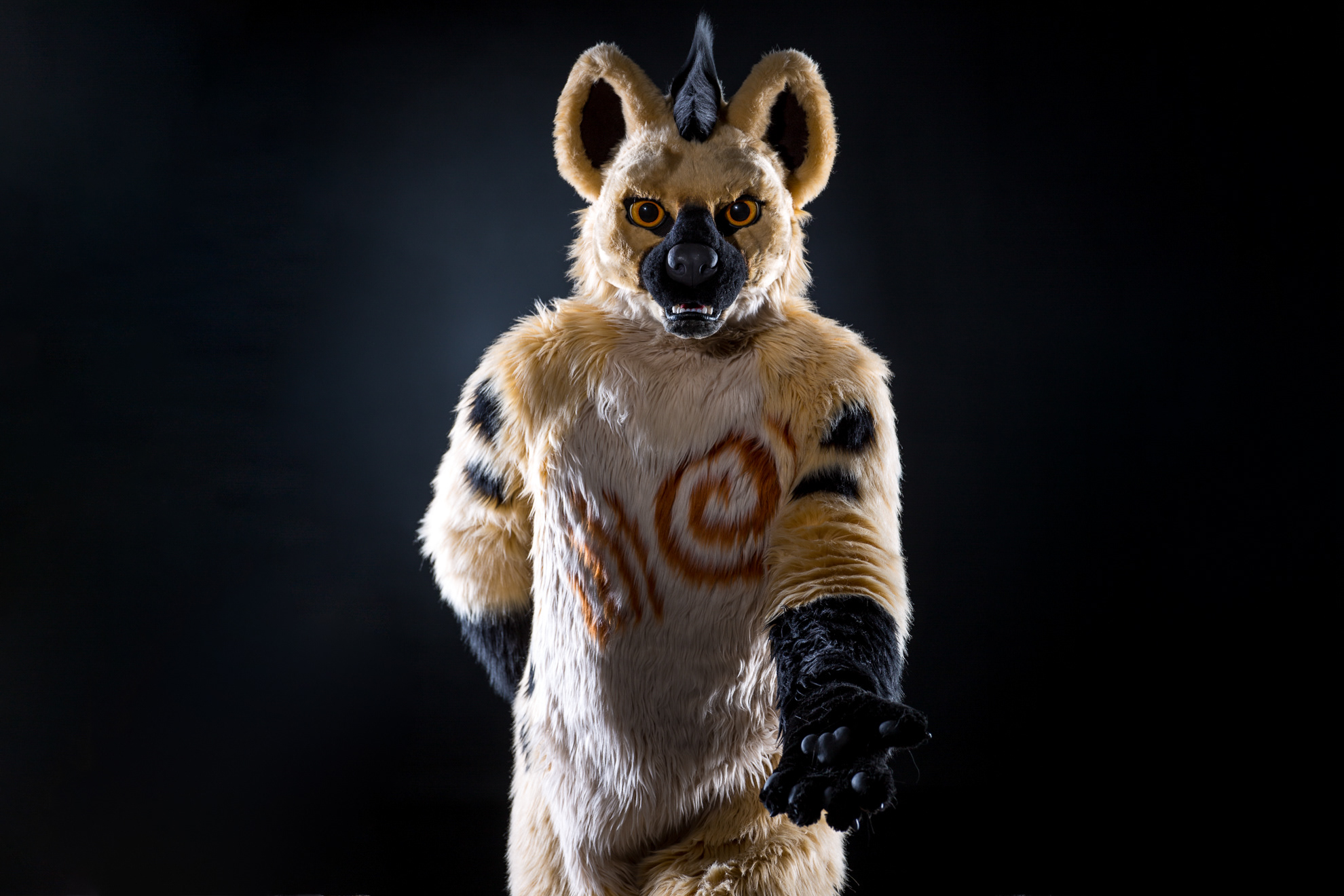 Furry Creatures Photography