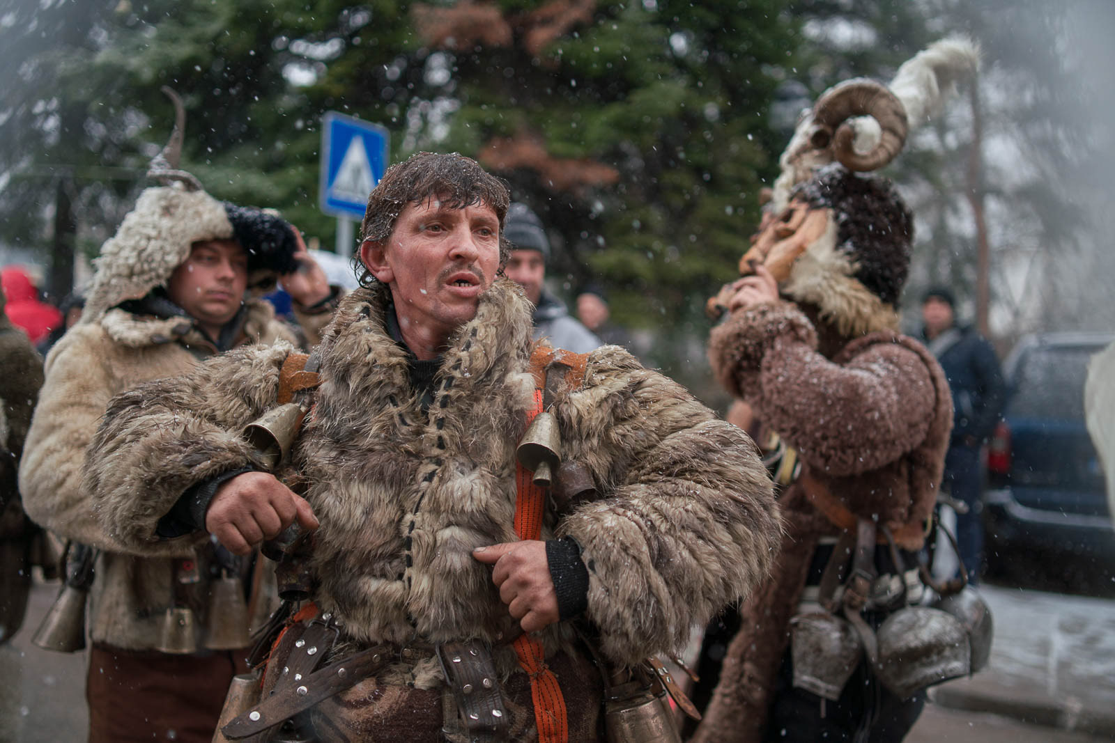 Портретна фотография на Кукер