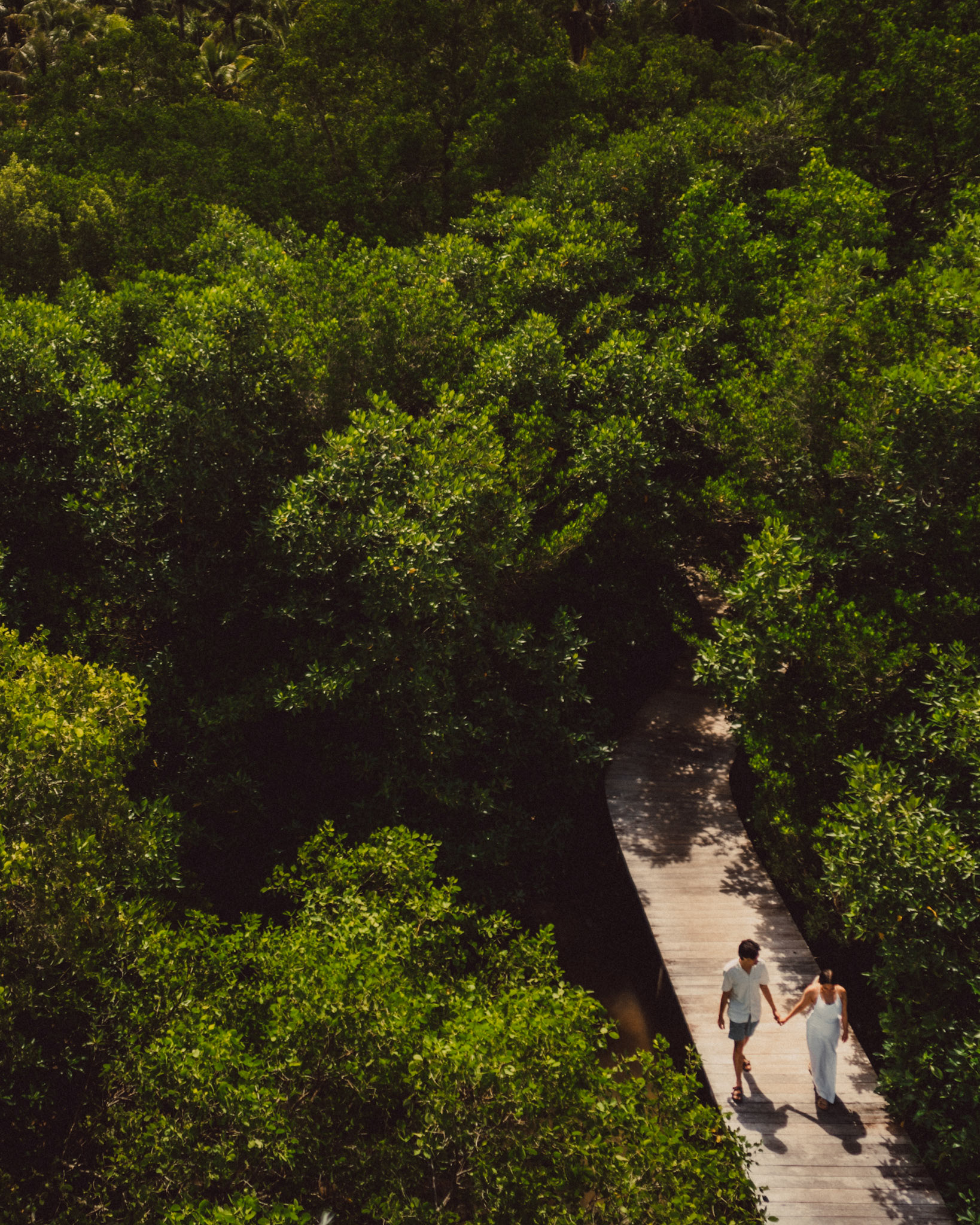 Aerial newlywed portraits in Nay Palad Hideaway's mangrove forest, from Jeo and Bianca's island hopping honeymoon couple portrait shoot in Siargao Island, Philippines, Southeast Asia, February 2020, Sony A7III