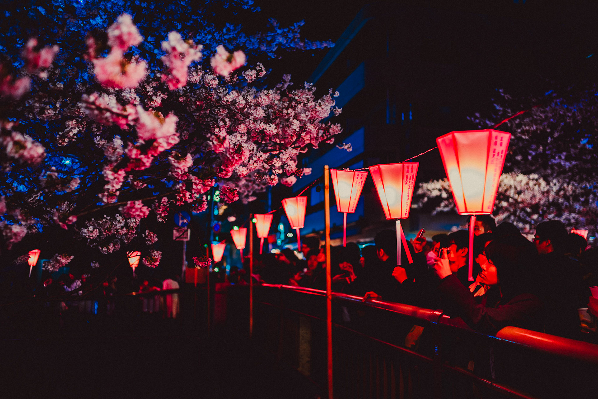 Crowded Meguro River during sakura season, Tokyo, Japan, April 2017, Sony A7SII.