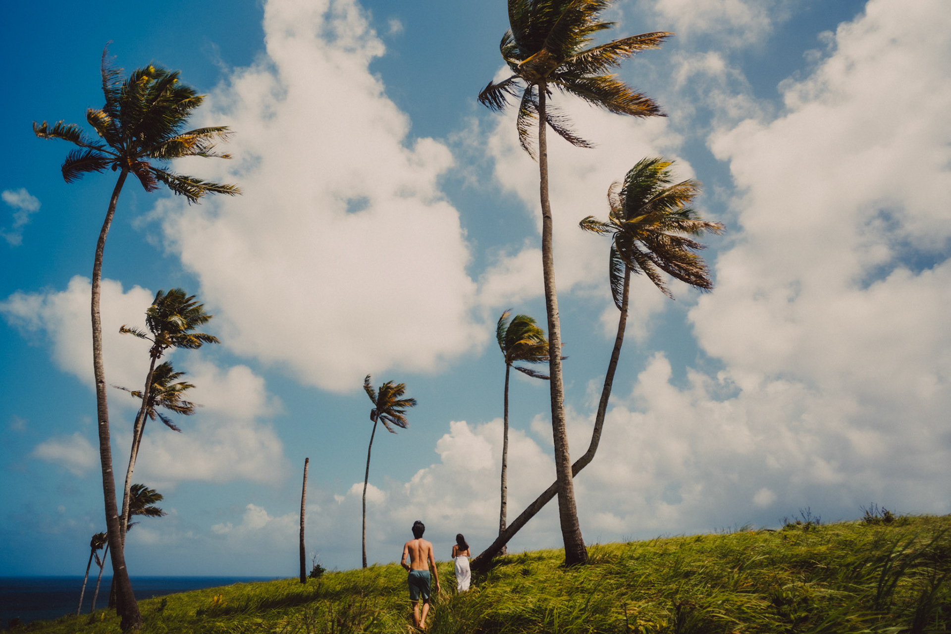 Adventure newlywed portraits with Corregidor Island's palm trees and tall cogon grass, from Jeo and Bianca's island hopping honeymoon couple portrait shoot in Surigao del Norte, Philippines, Southeast Asia, February 2020, Sony A7III