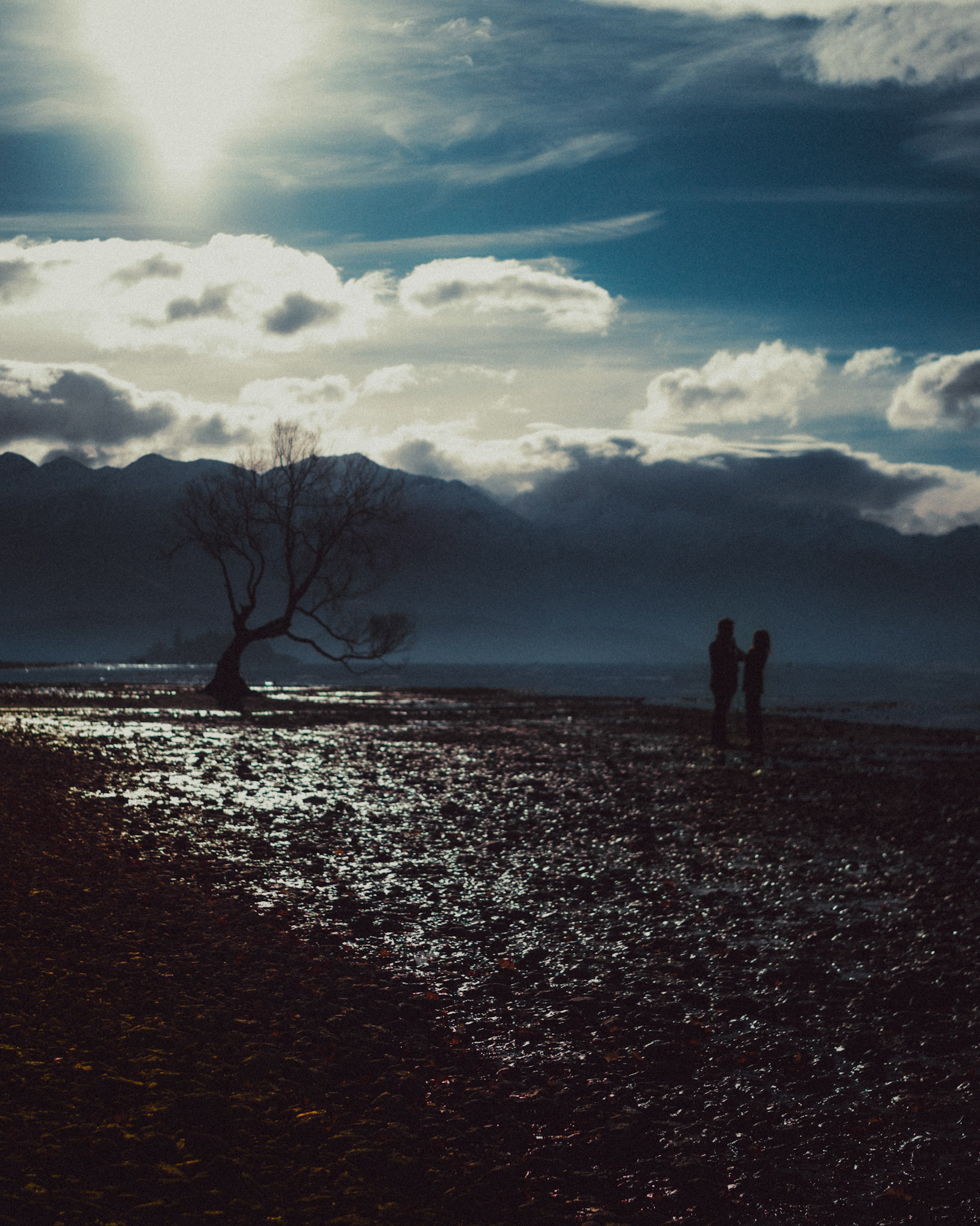 A moody lakeside engagement session in front of #thatwanakatree, Otago, New Zealand, June 2017, Leica M.