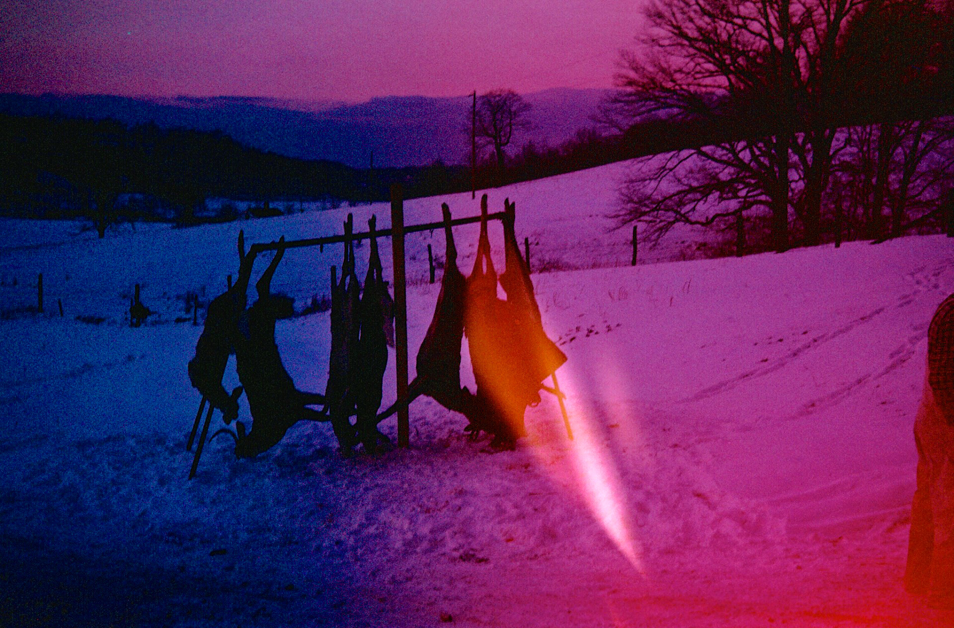 veryBarry 196? Hunting Slides