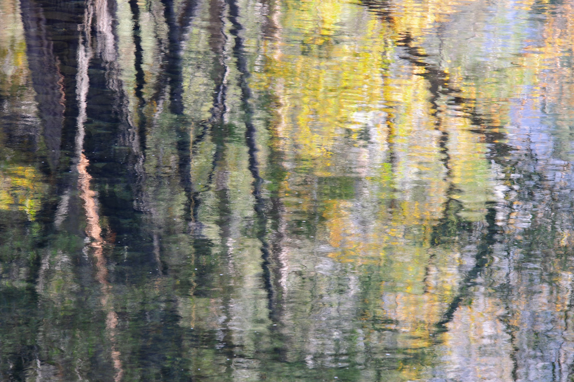 Merced Reflection