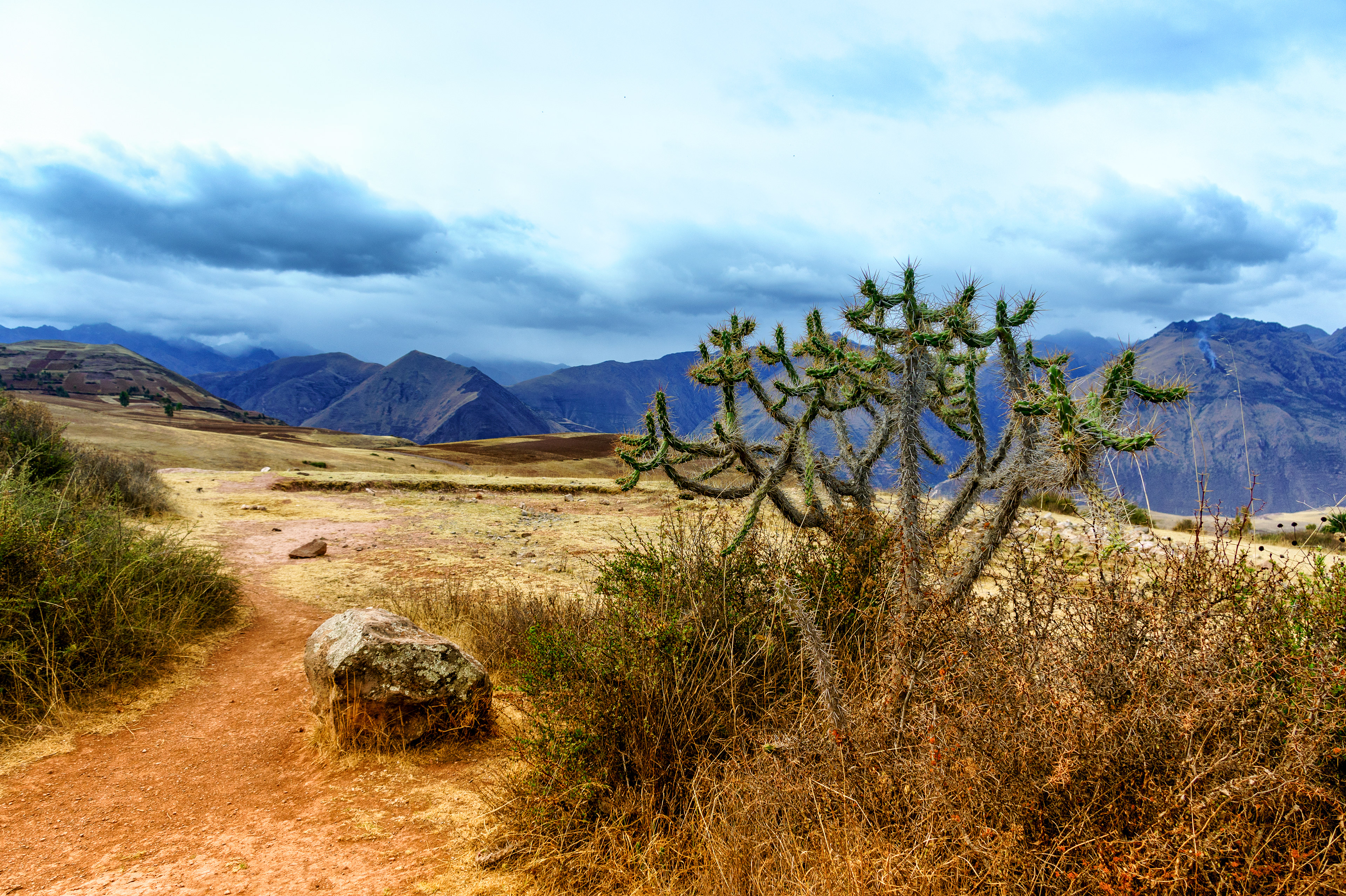 Lost Trail