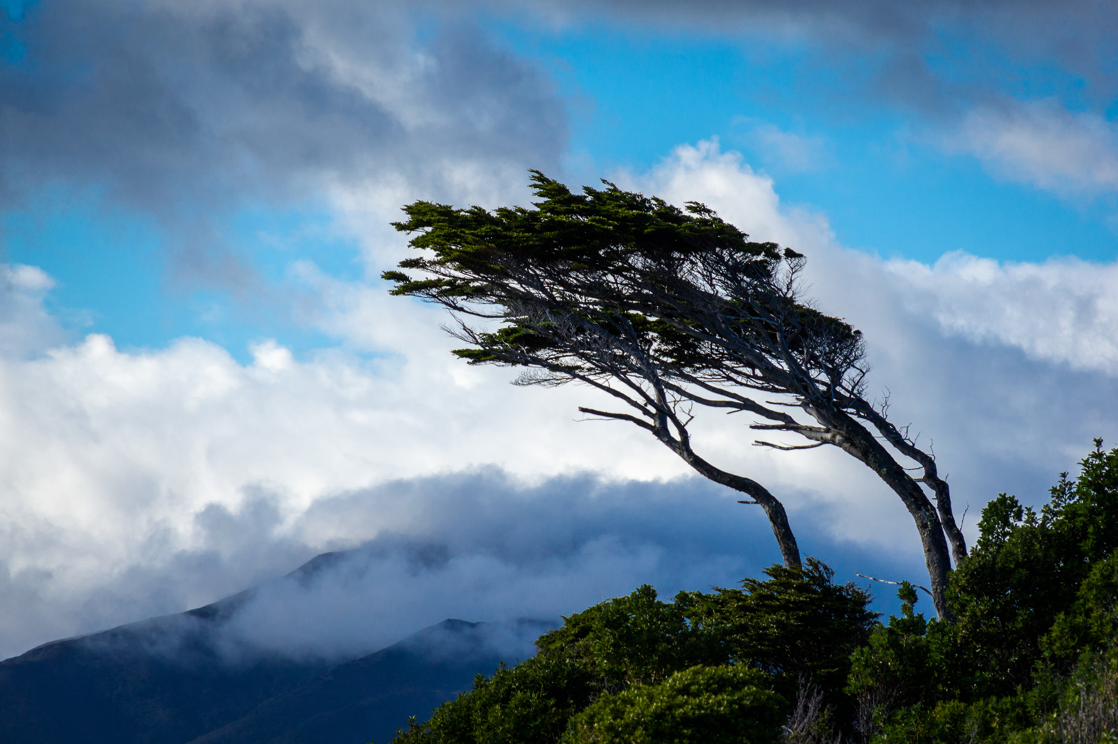 Winds of Patagonia