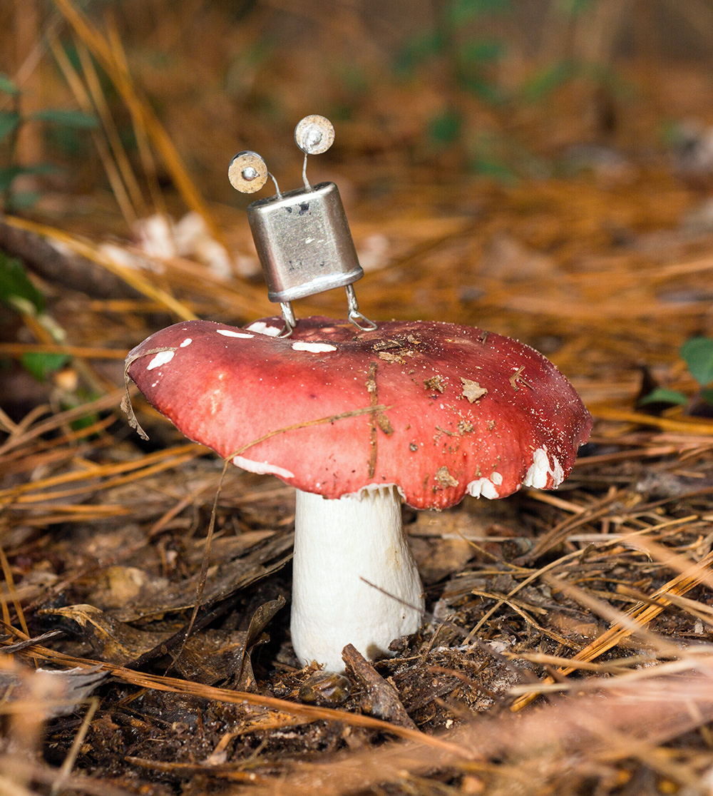 Electronic art critter dancing on toadstool