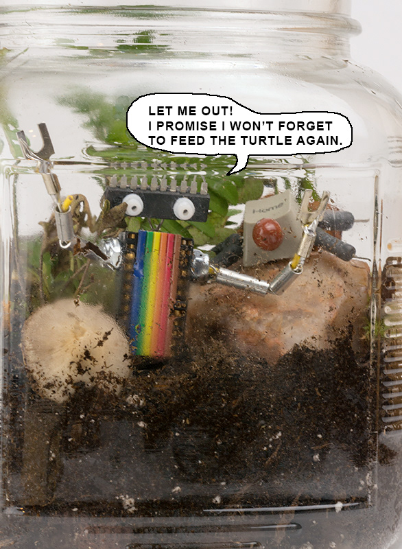 Robots as Pets