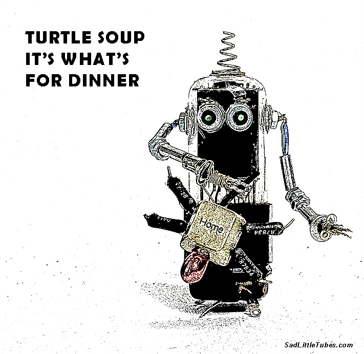 Turtle Soup