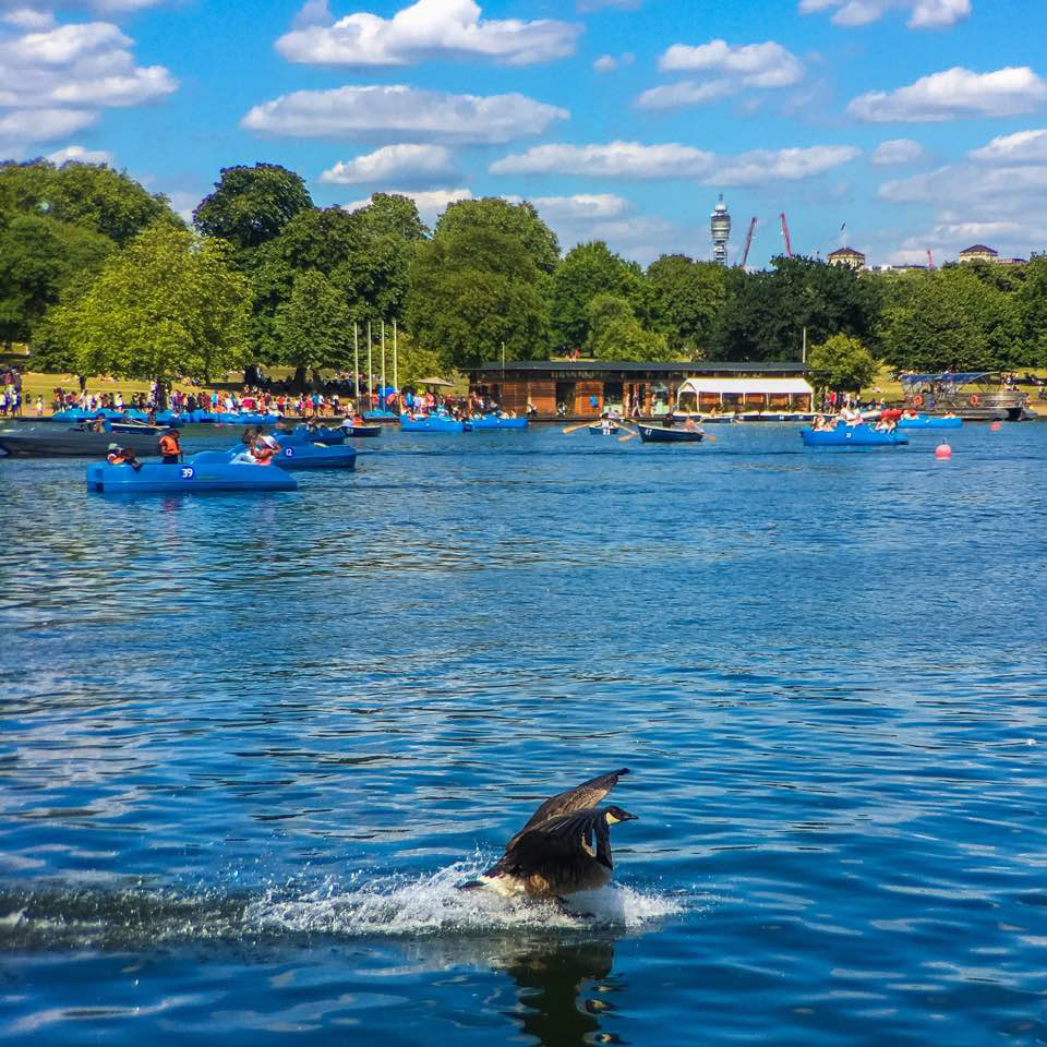 The Serpentine, Hyde Park, London