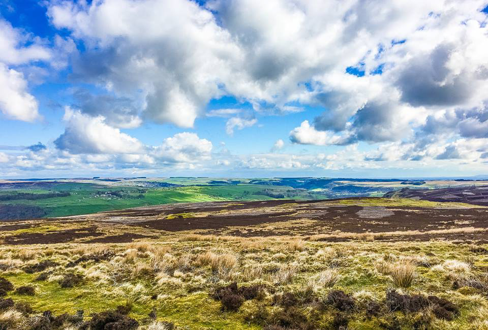 Whipperdale Bank, Reeth