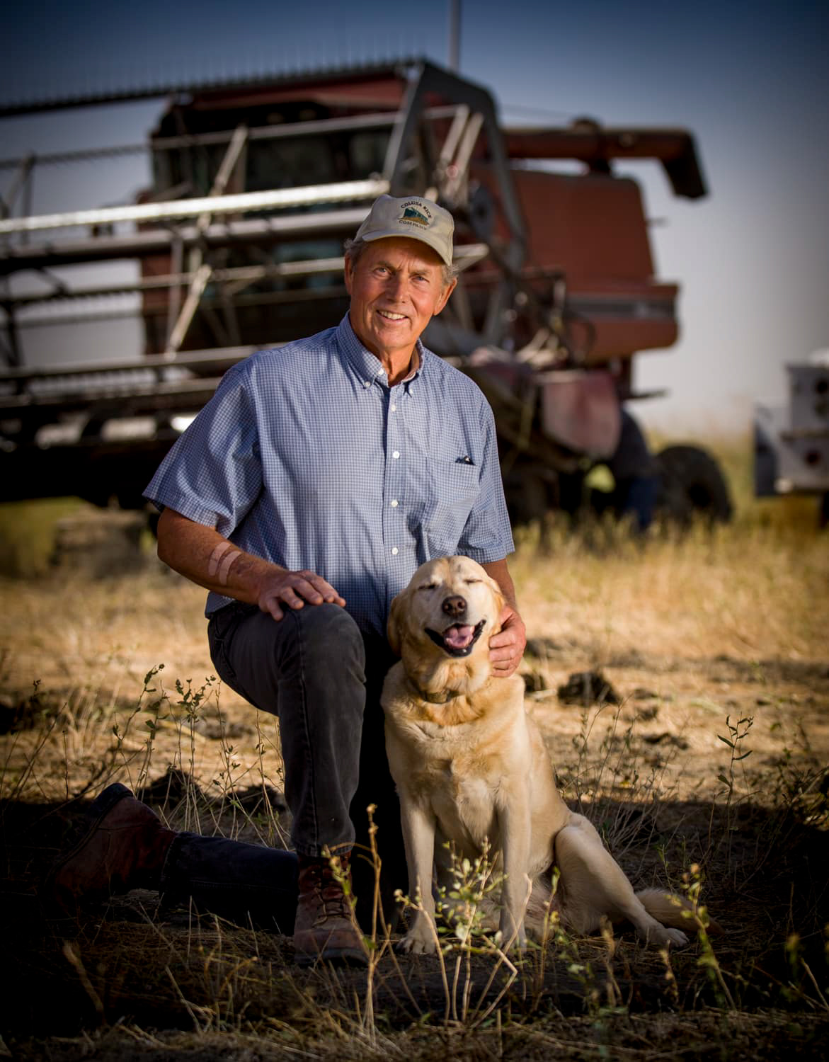 Jack Dewitt rice farmer Sacramento valley