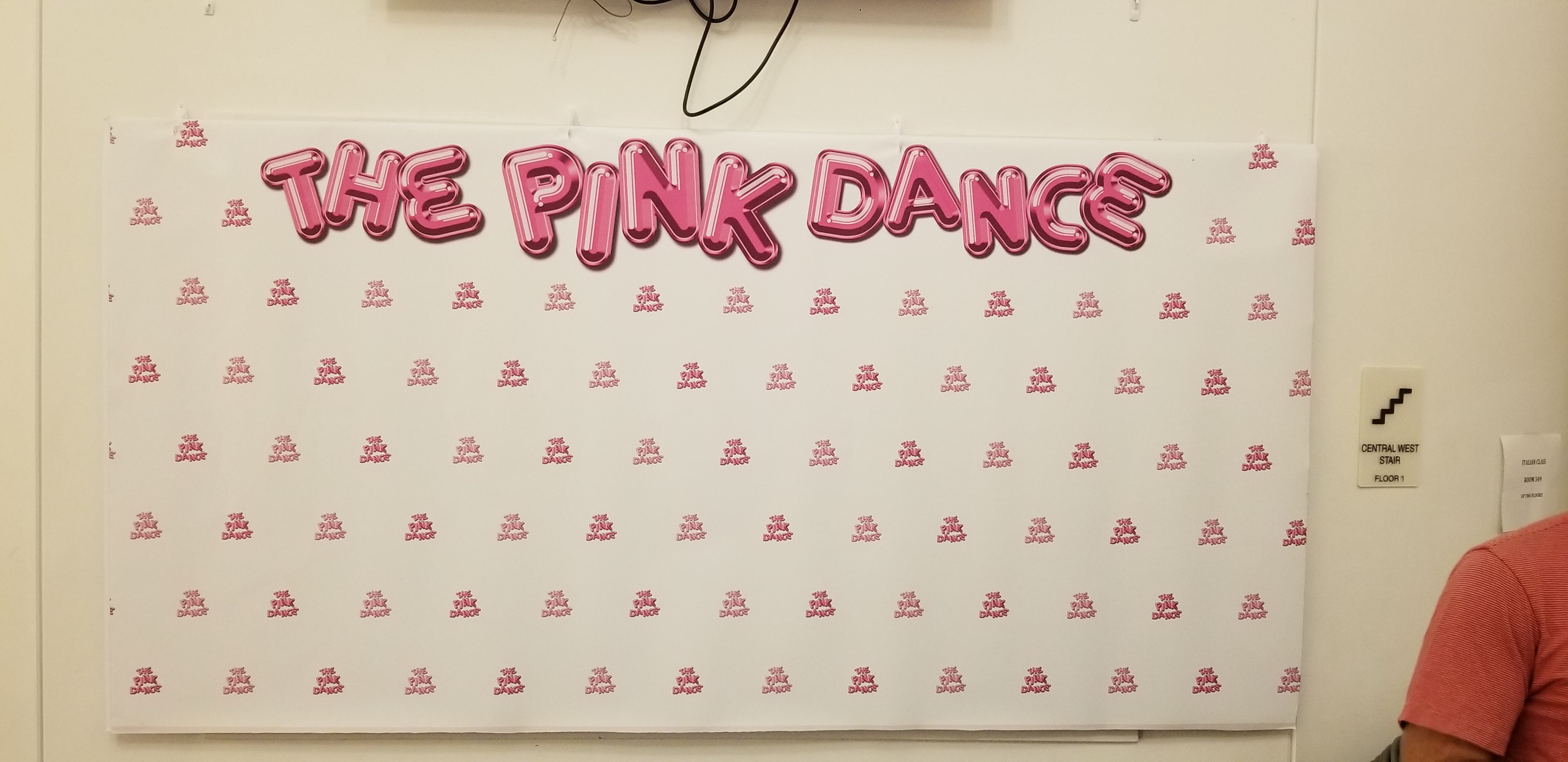 Step & Repeat design at The Pink Dance.