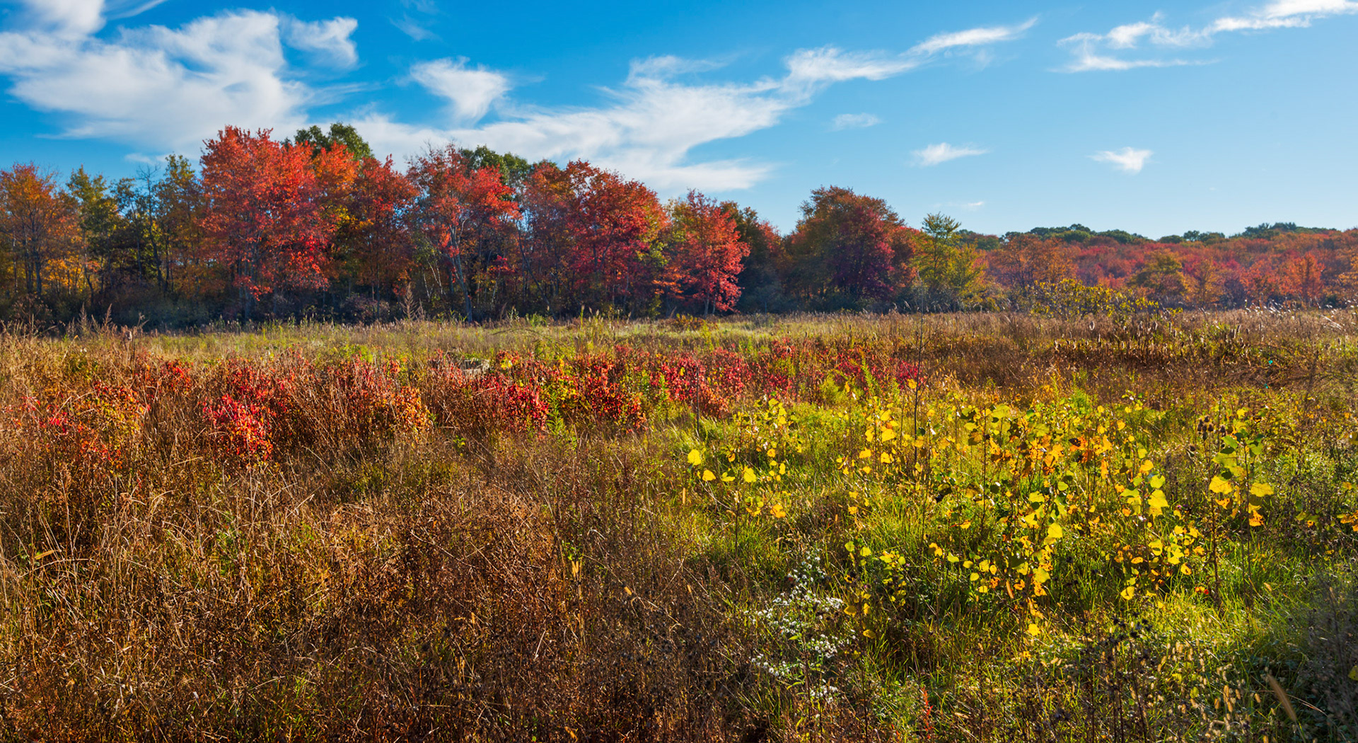 Mass State Parks DCR 1028