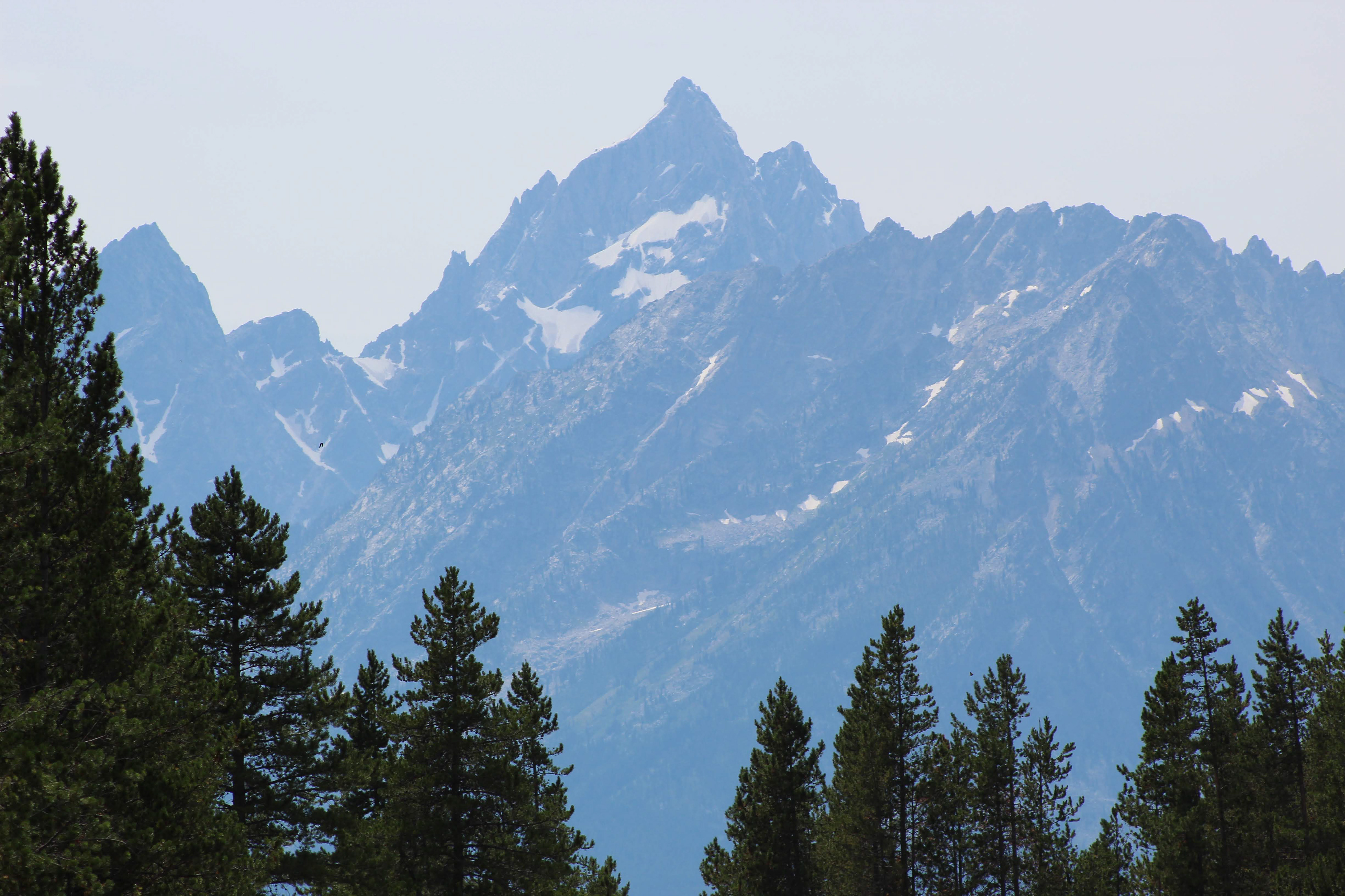 View of Grand Teton from the street in Colter Bay