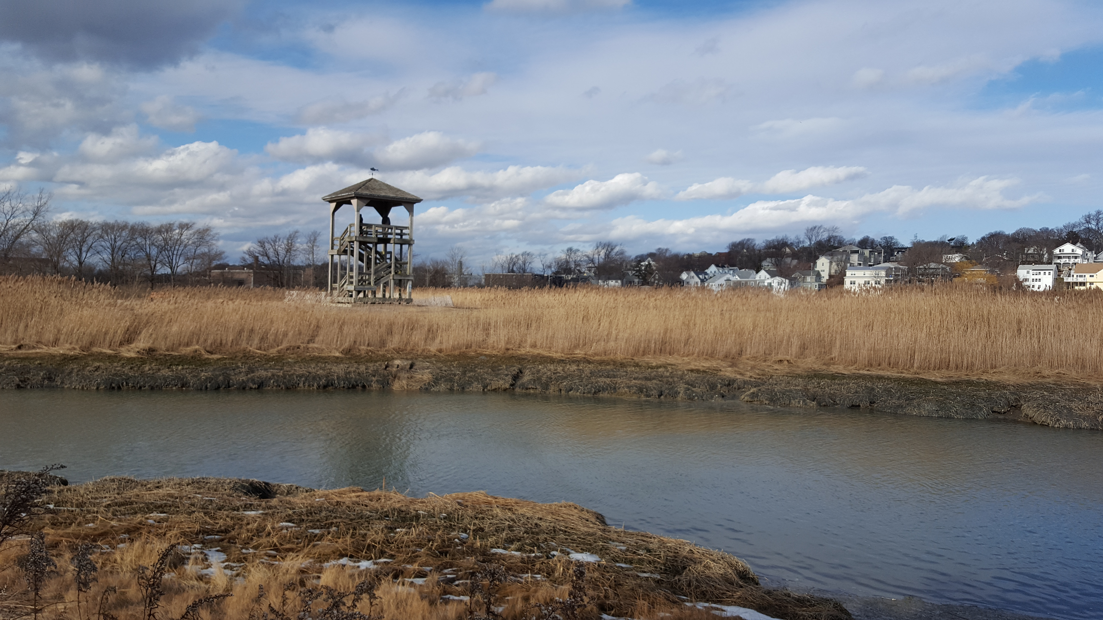 Marsh Location