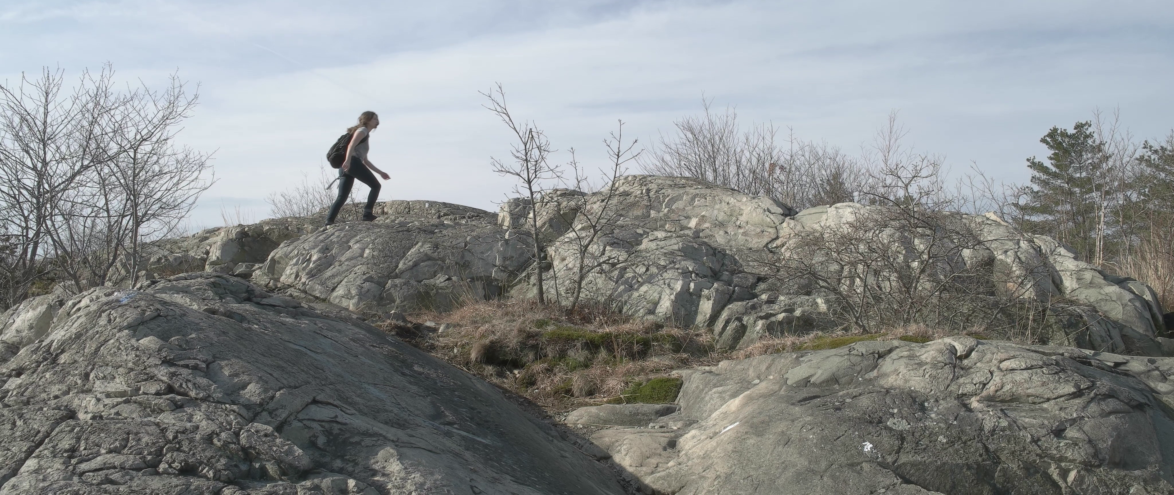 Forest Location (ungraded still from my film Scavengers)