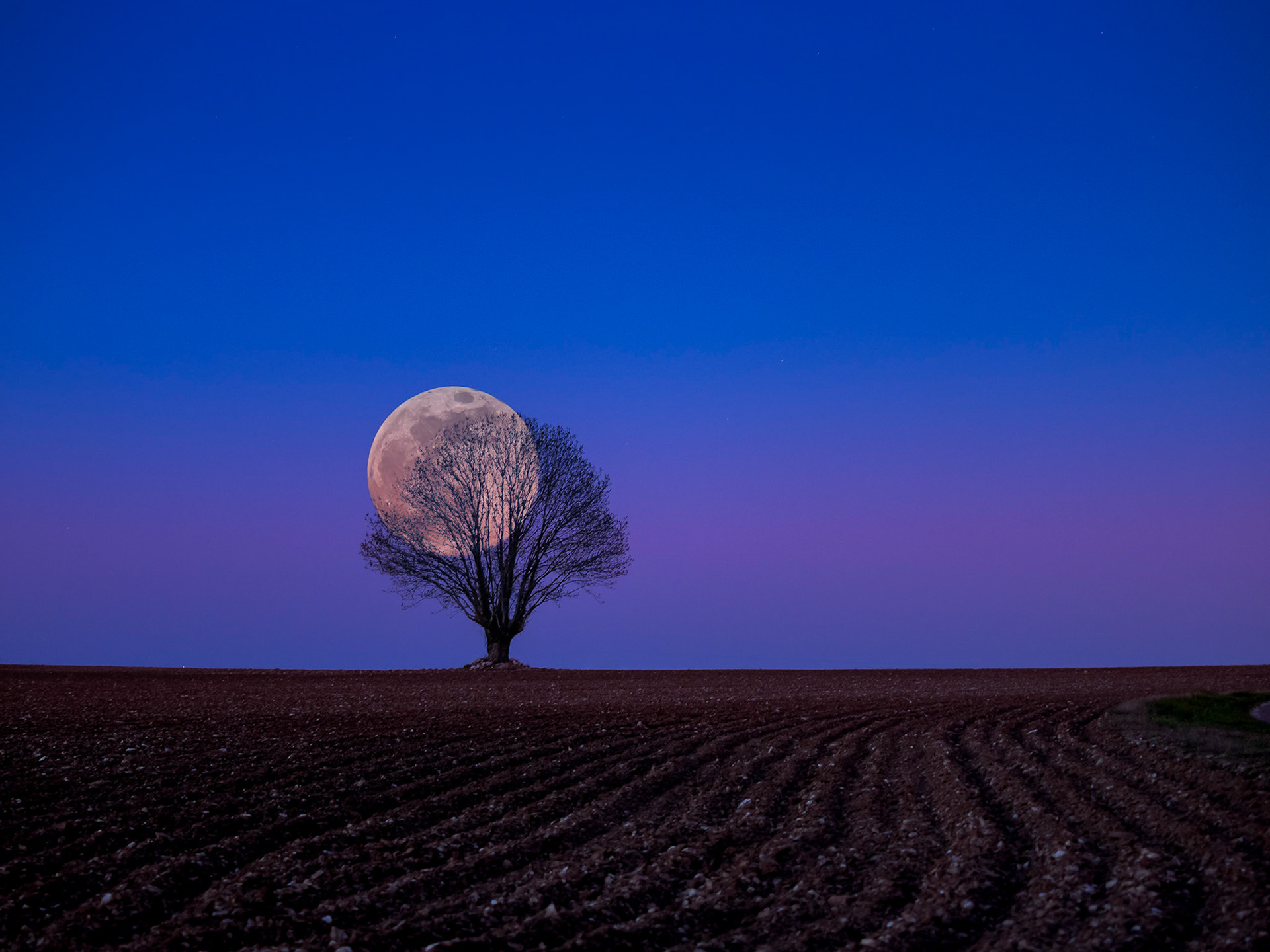 Lune volée