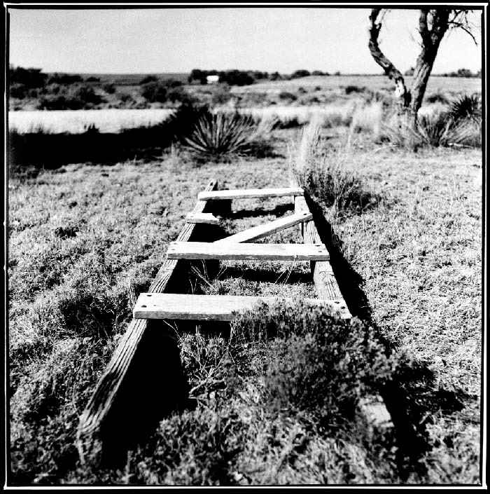 Ladder, 2004/2019