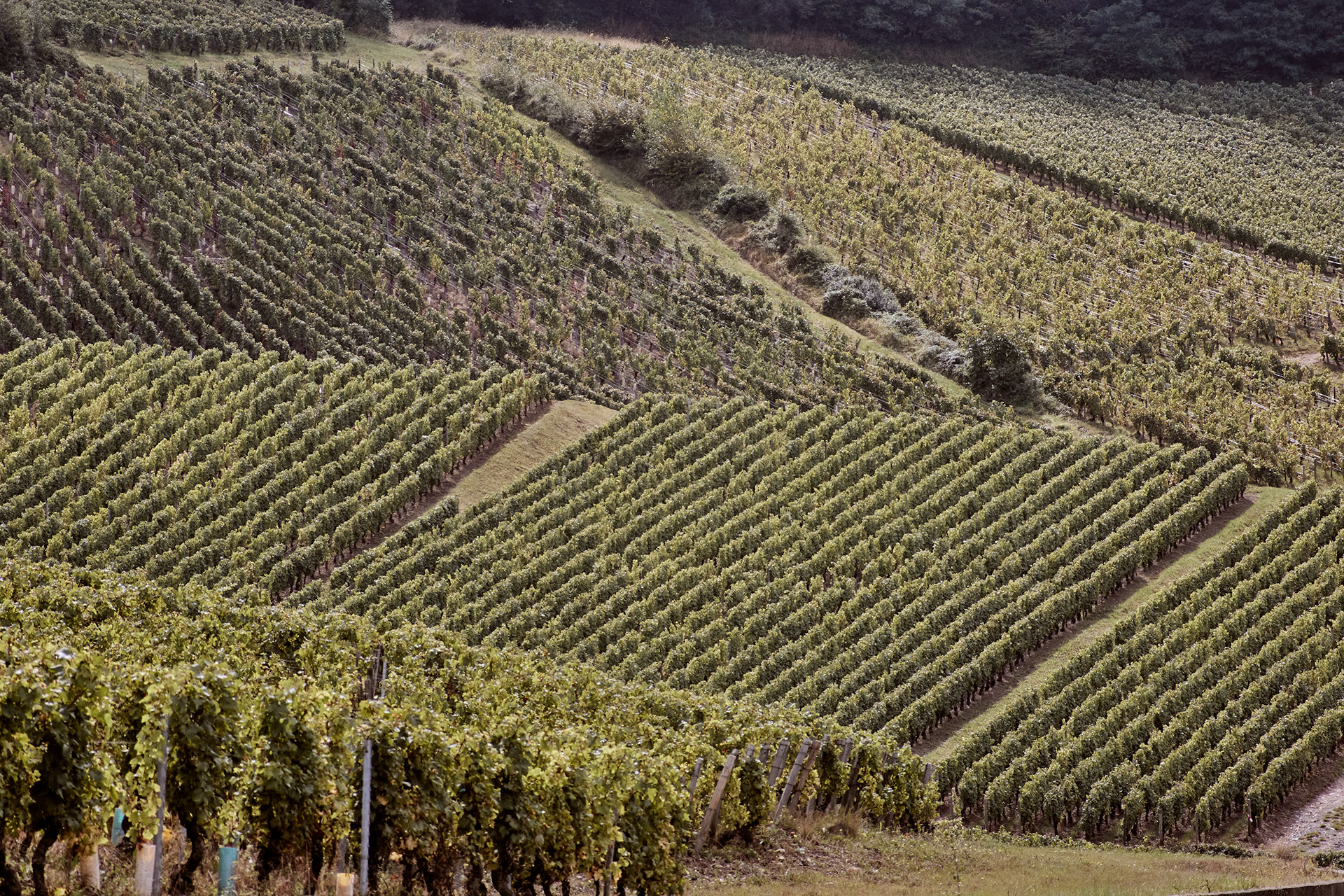 Pouilly