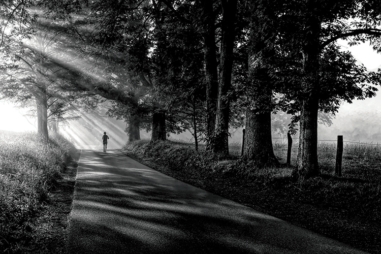 The Runner
