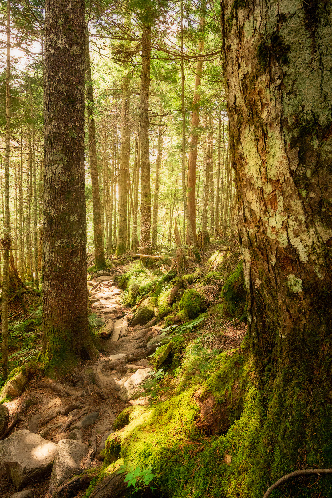 岳沢小屋　Dakesawa Hut Trail