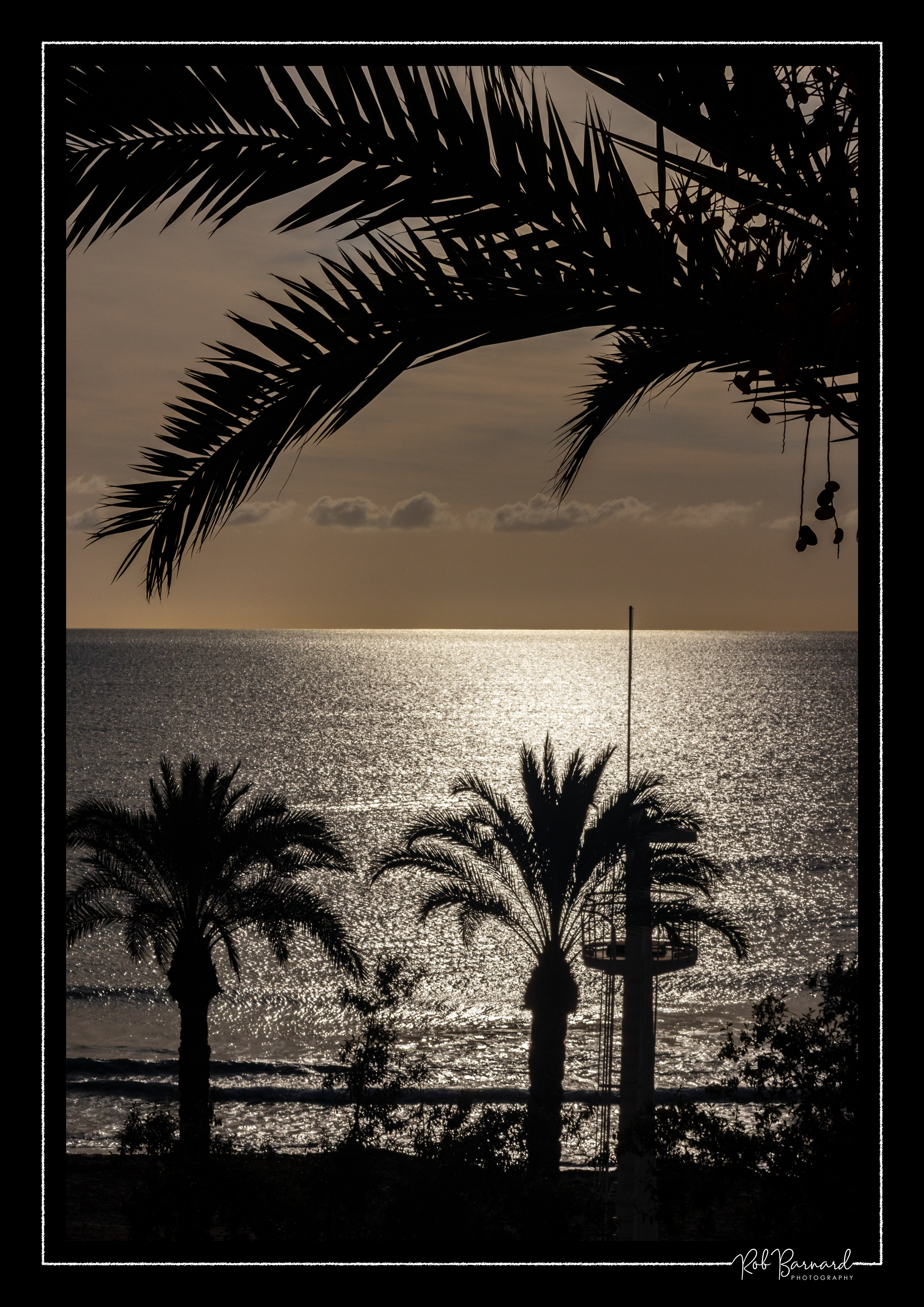Ref: 01021