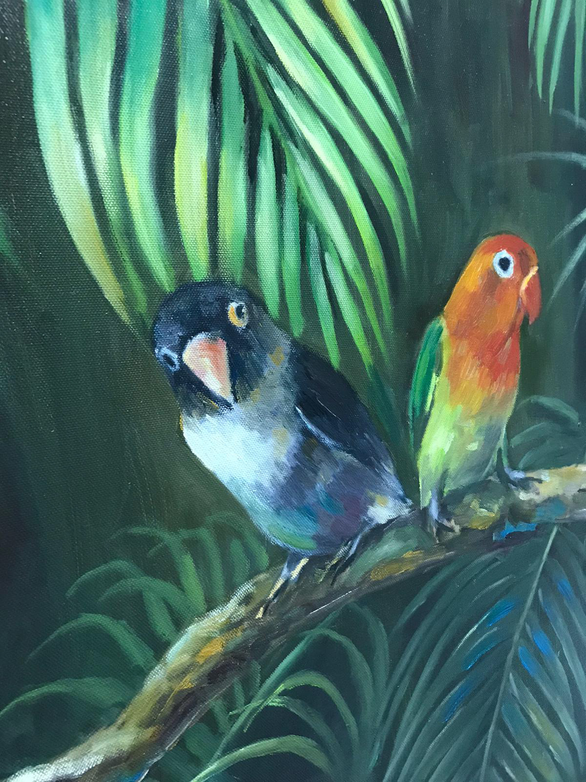 My Lovebirds: Berry & Mango
