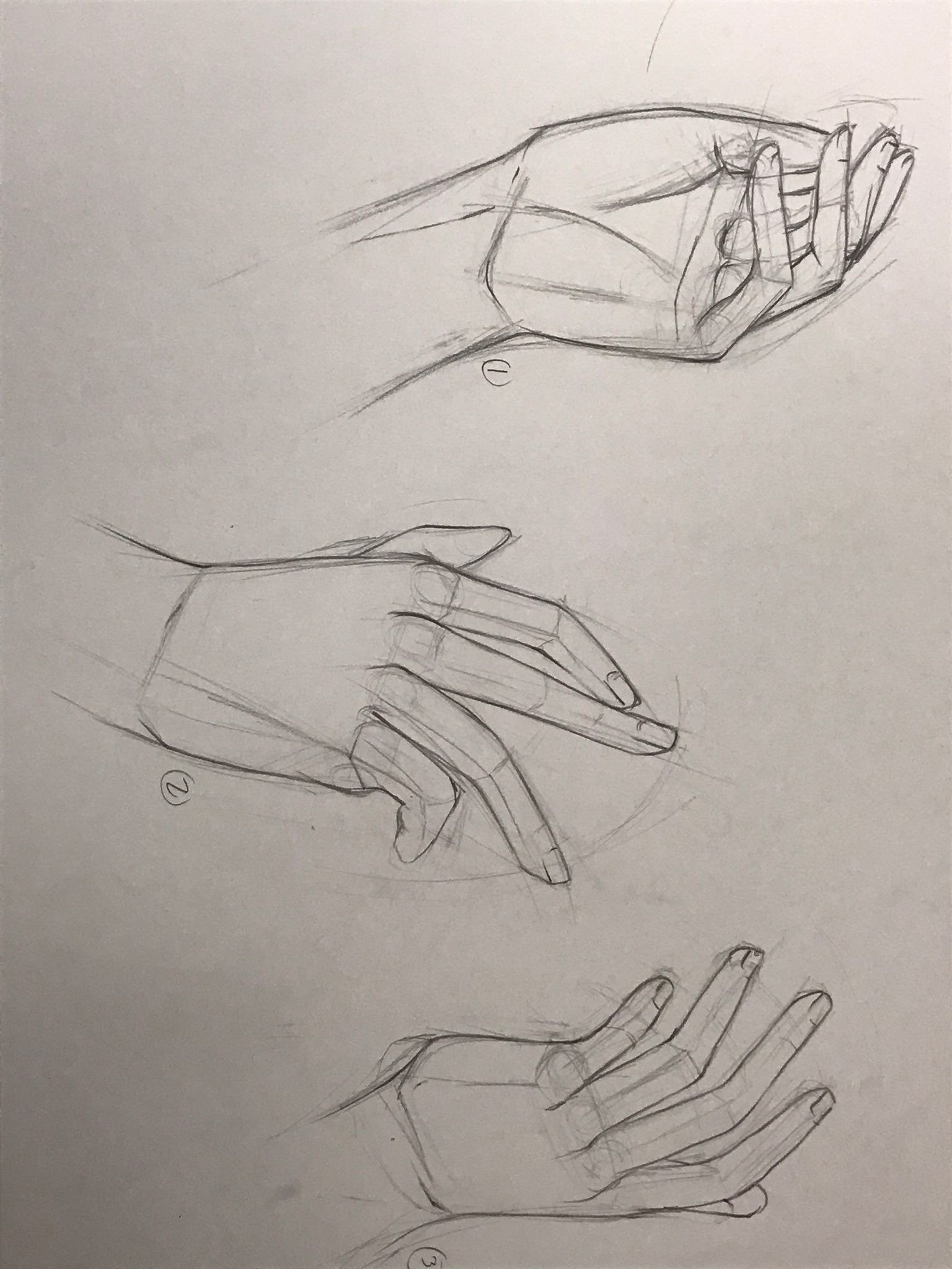 Hands by Anisa Ozalp