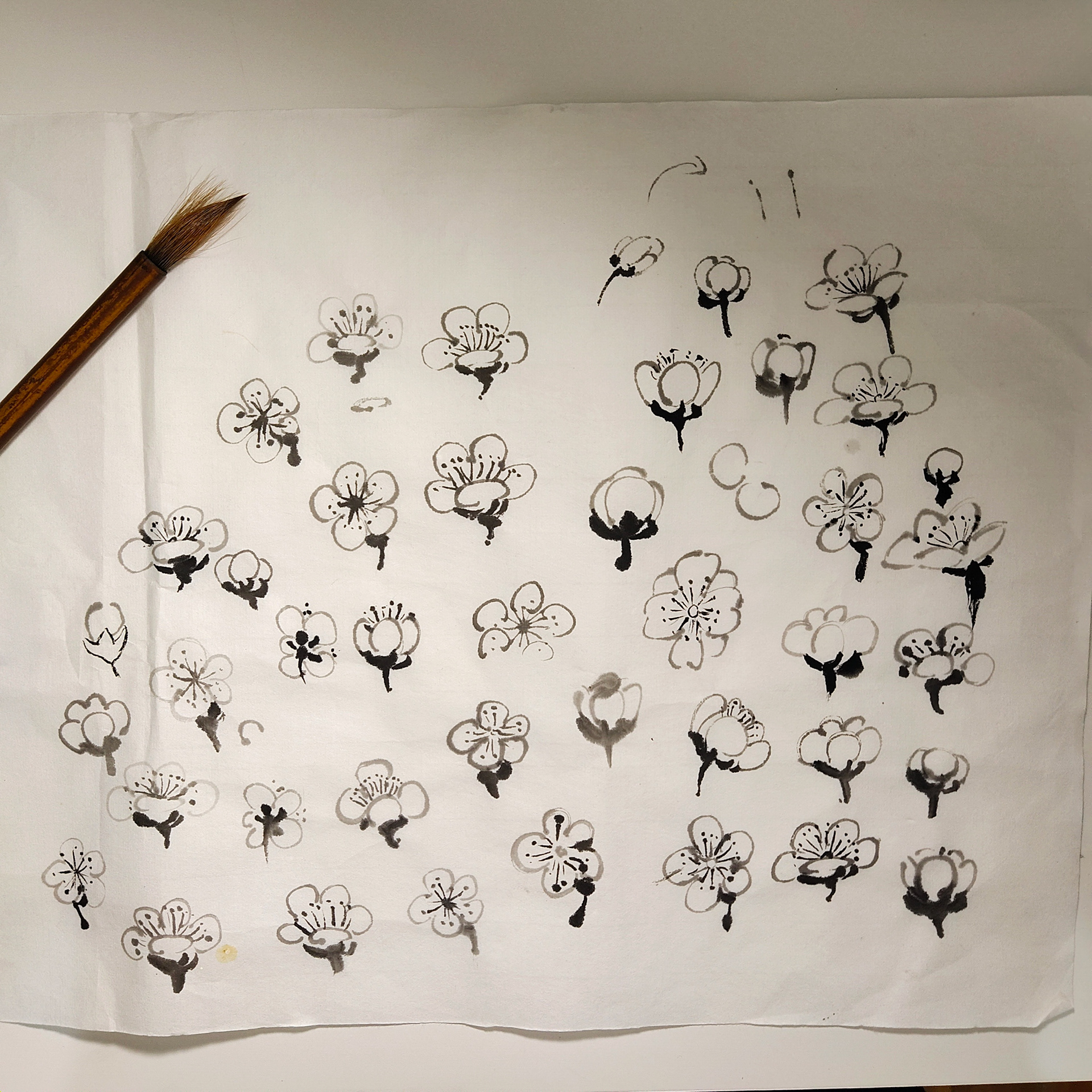Flowers Practise