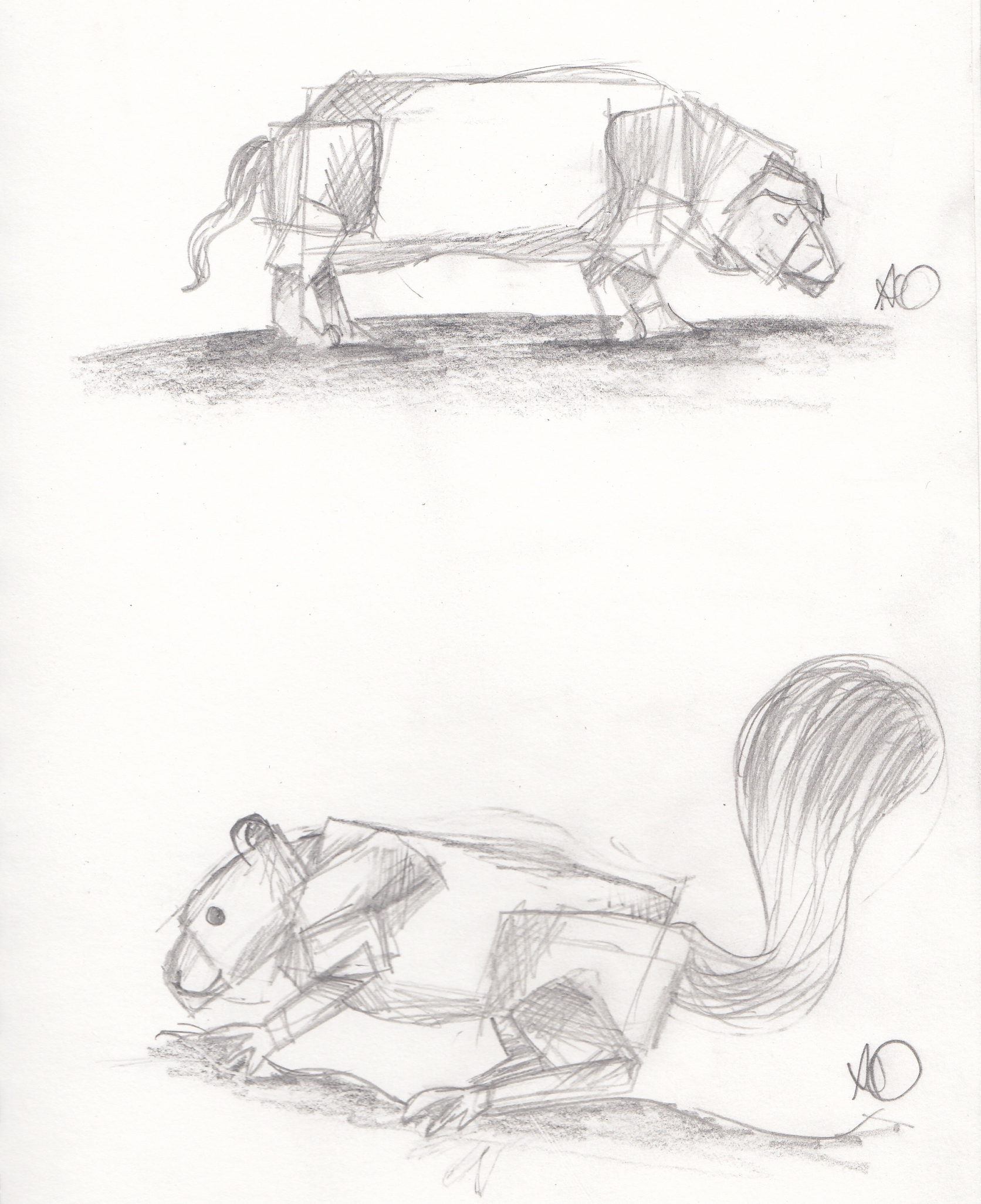 Animals
