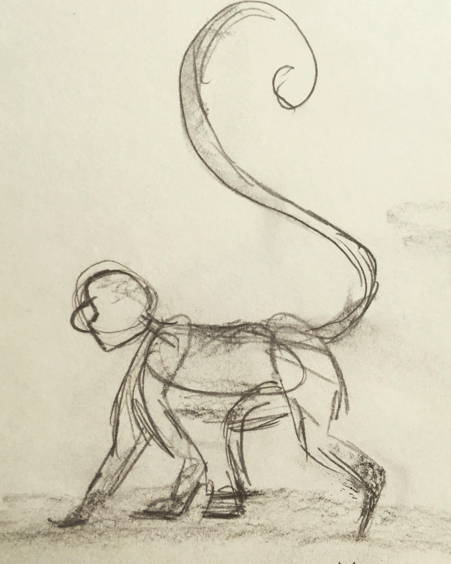 Monkey