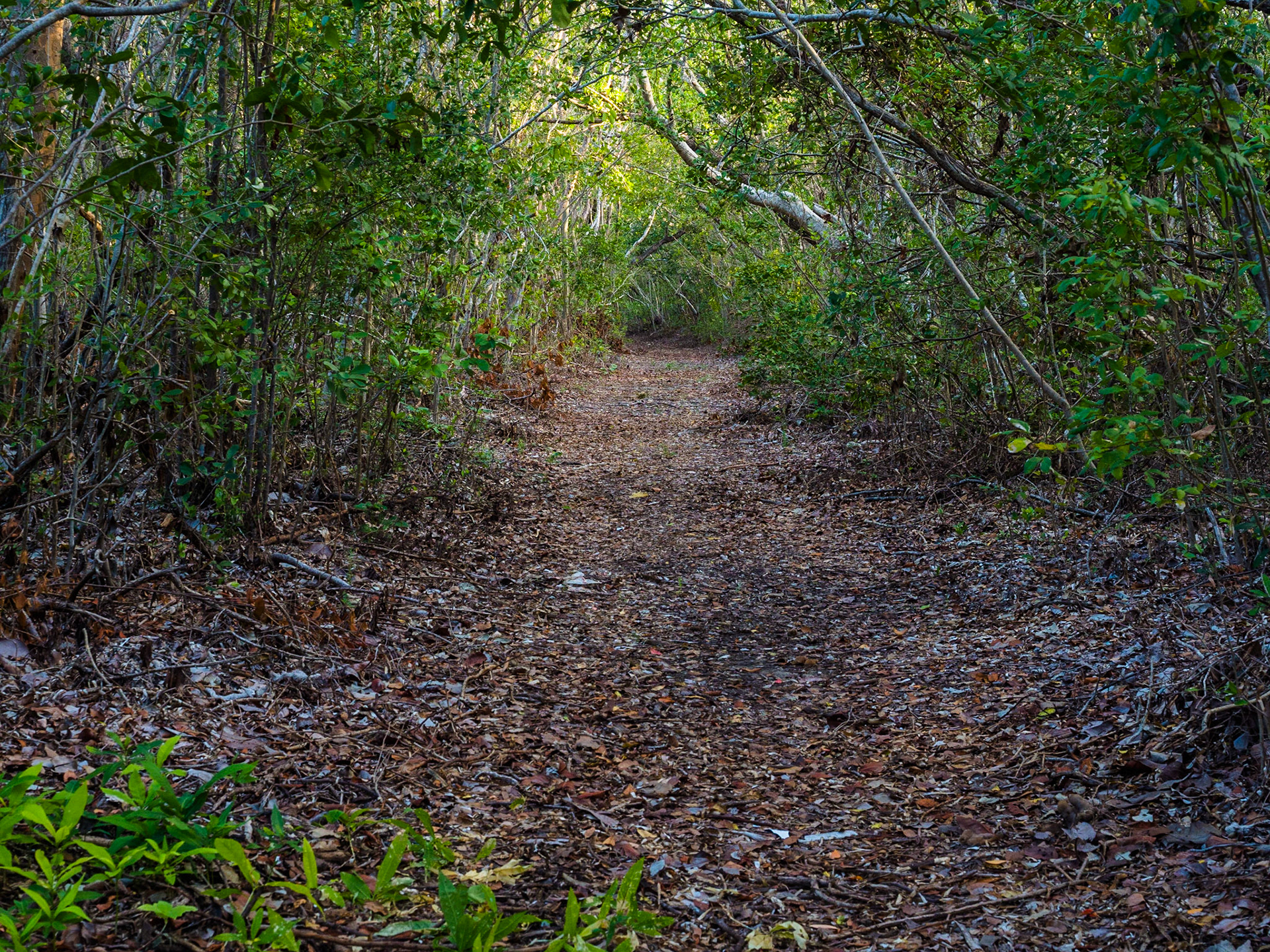 Biscayne National Park - Spite Highway