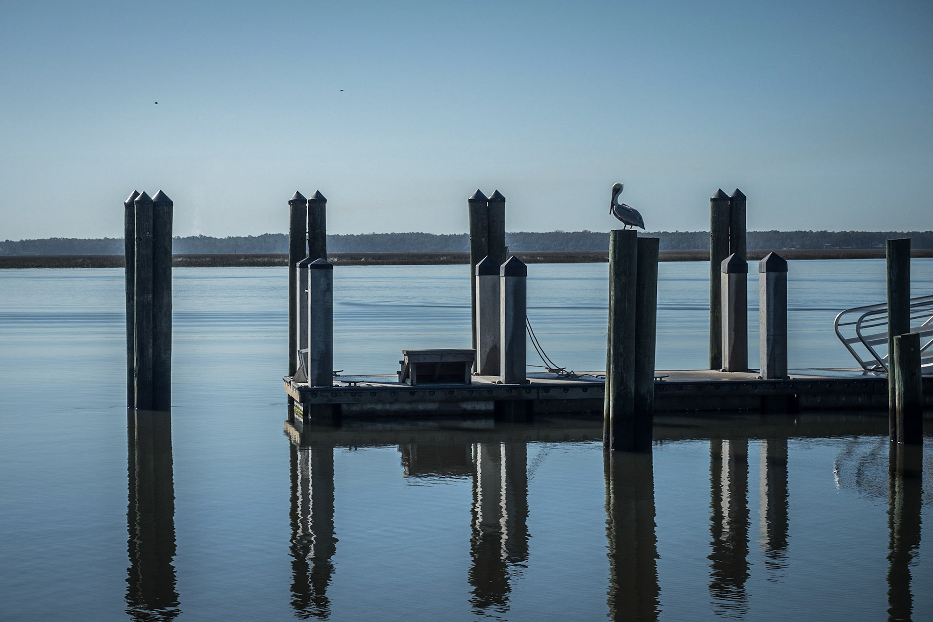 Cumberland Island National Seashore