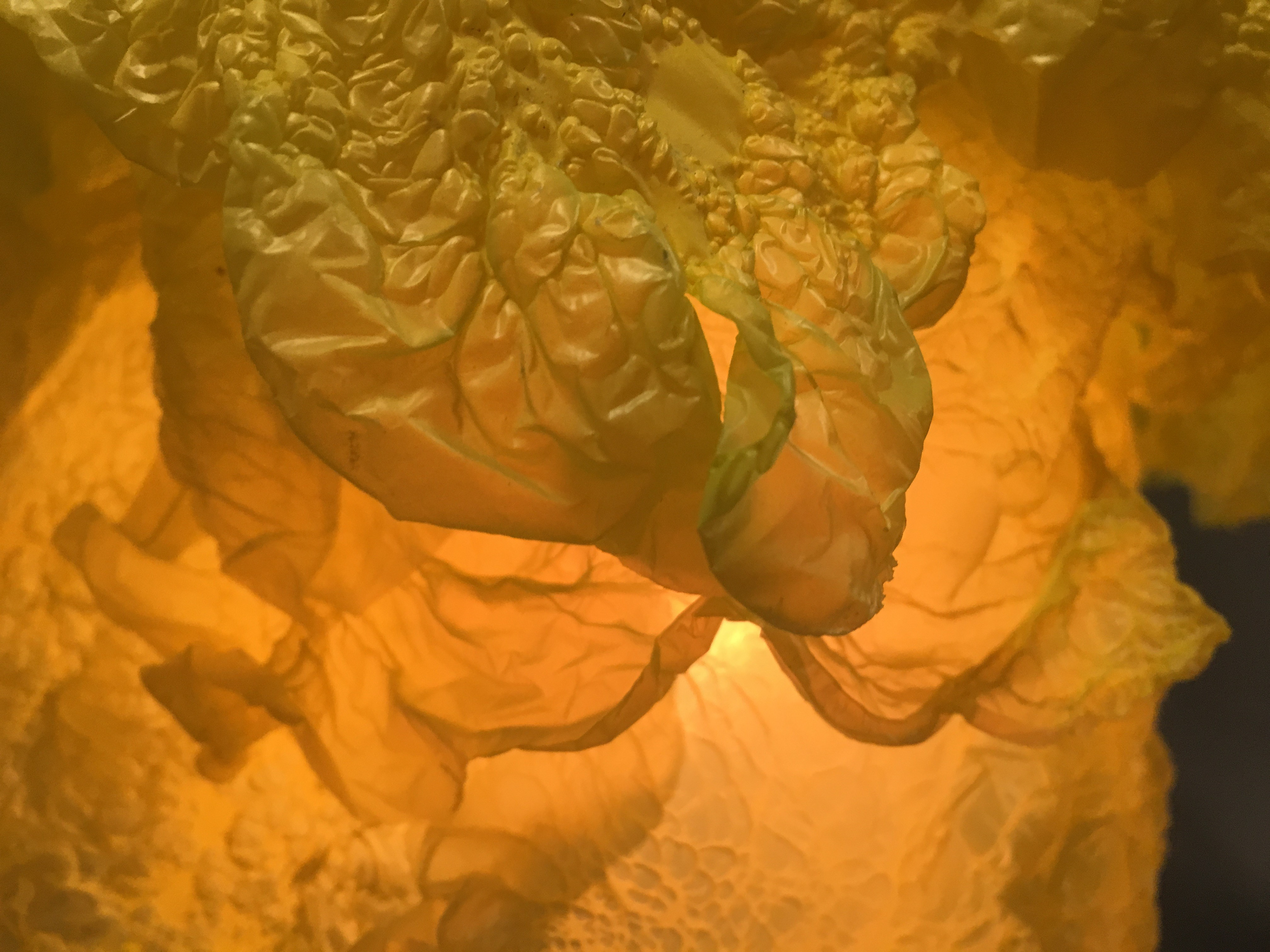 Material close up