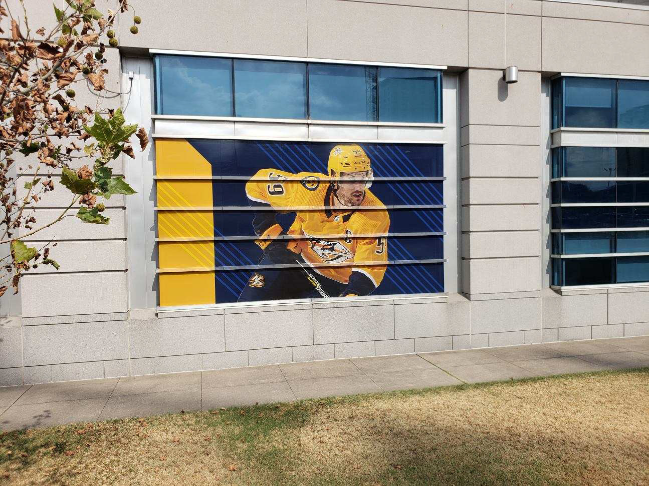 Preds Window Graphics