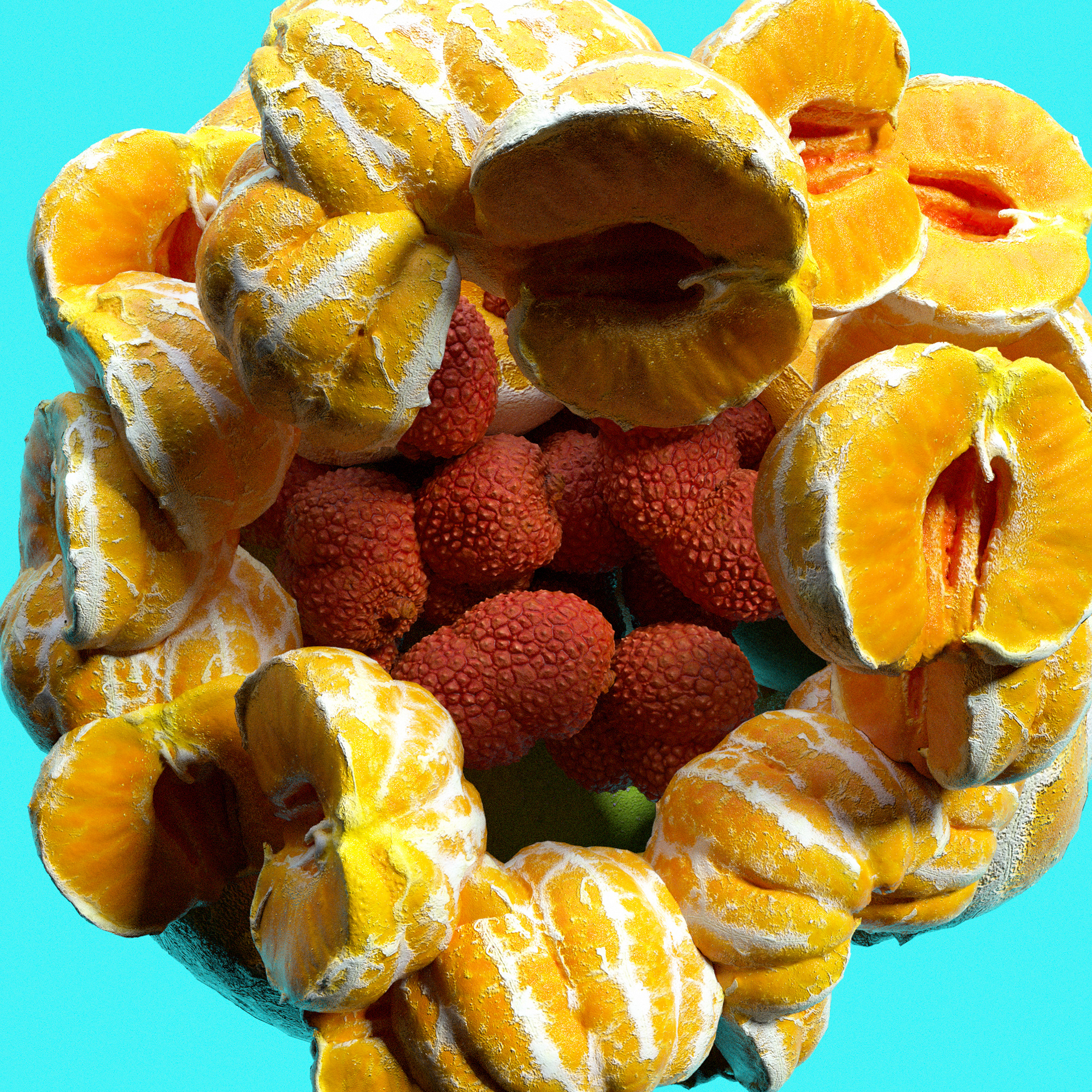 Fruit Fruit