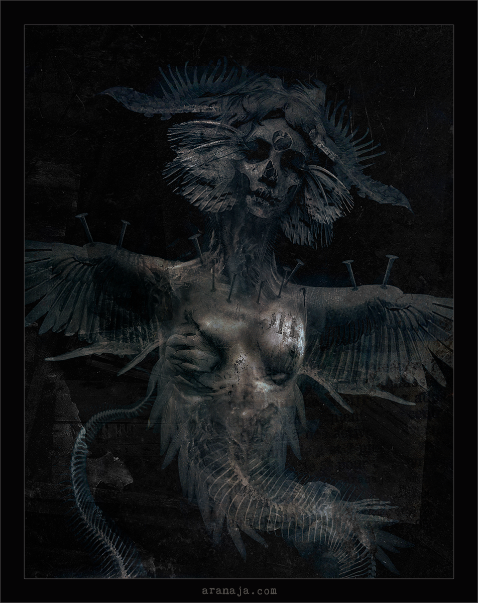 Harpy 2021