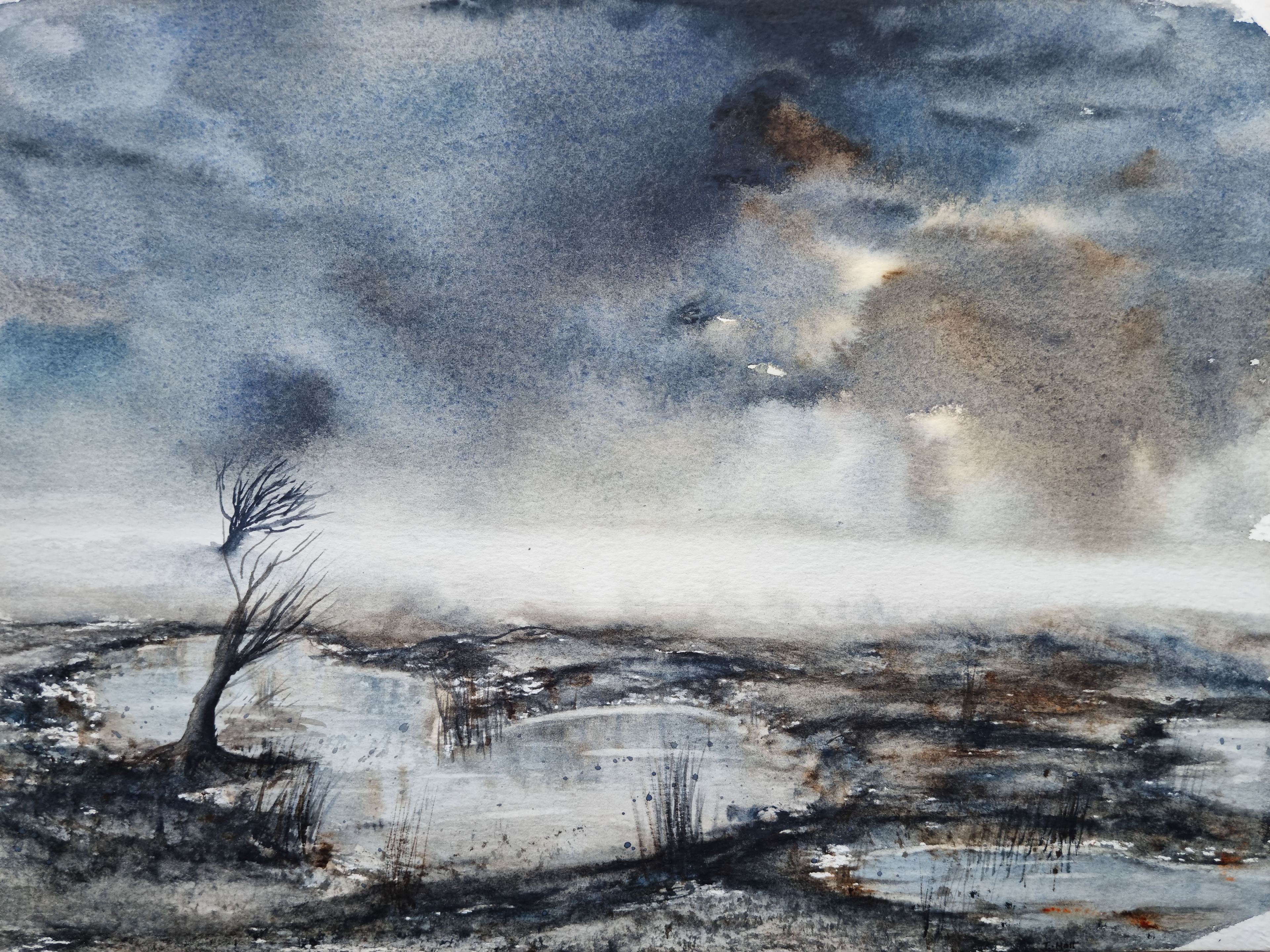 'In the Presence of Mist'