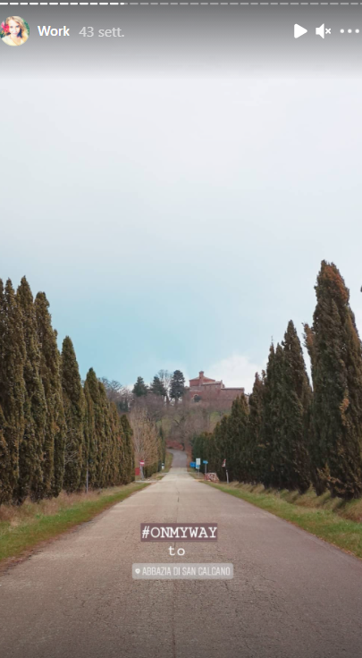 San Galgano viale alberato