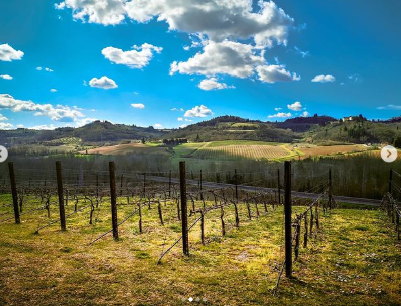 Le vigne di Marchesi Antinori