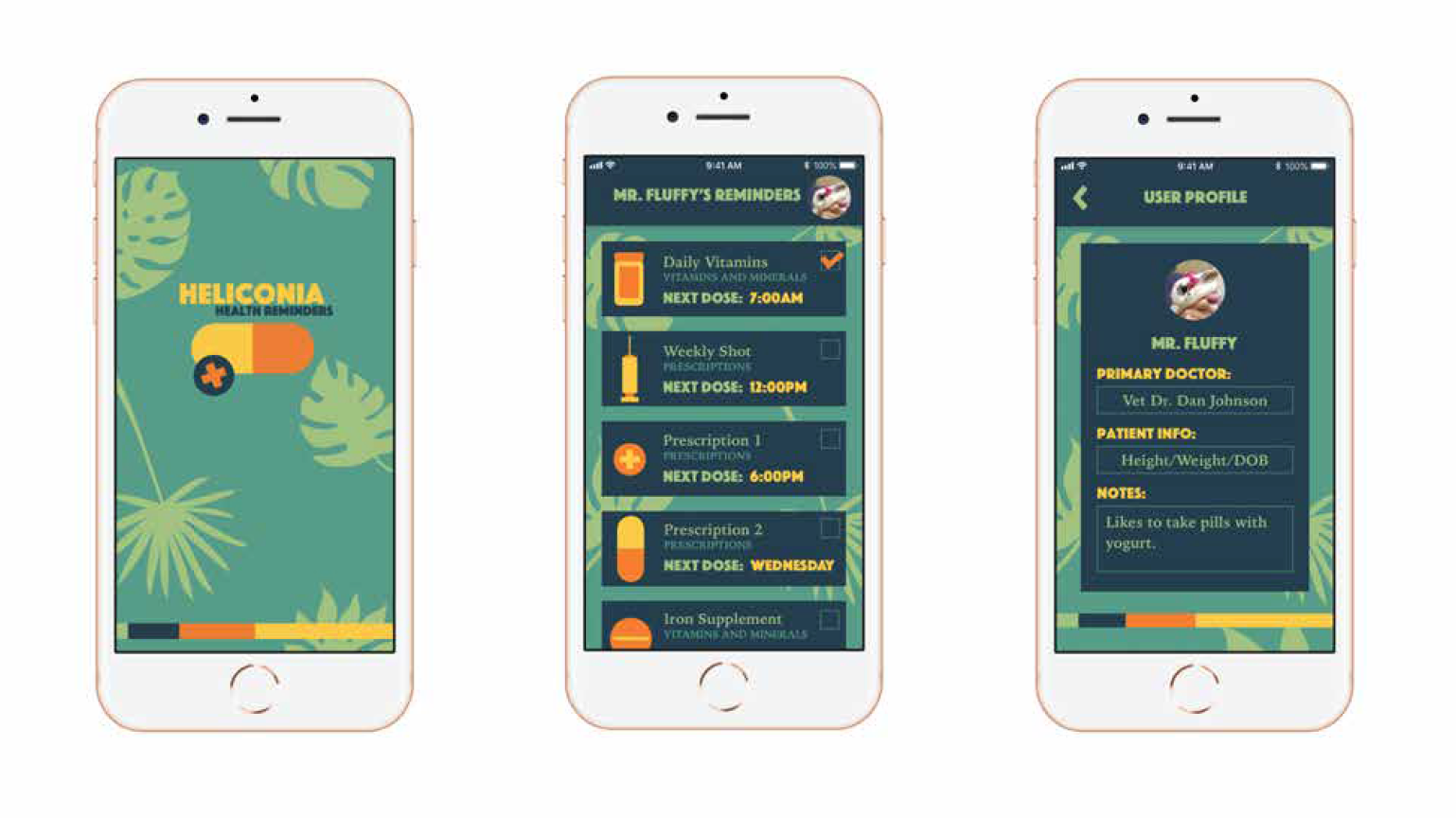 Heliconia: A Health Reminders App
