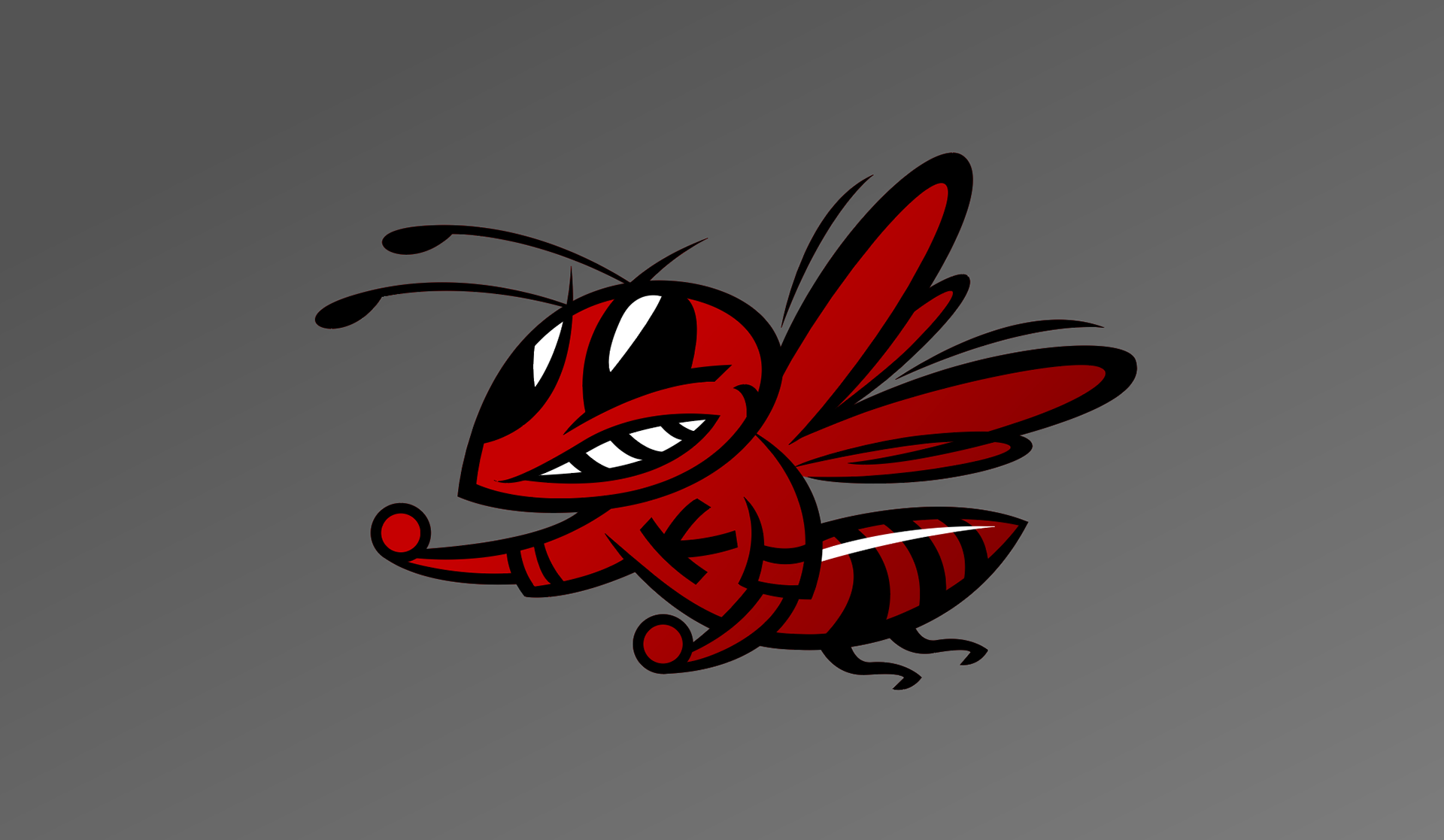 Heinley Projects / BJ Heinley - Hornets Mascot