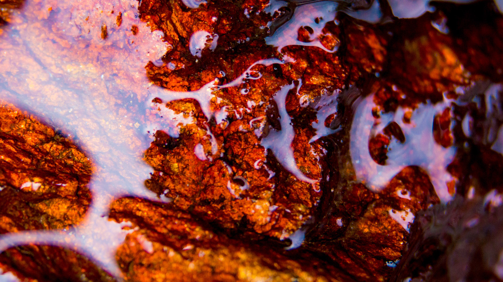 macro photography norway red stone with liquid reflections